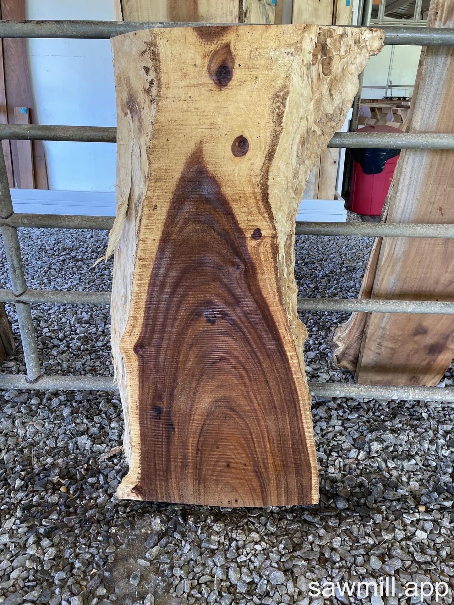 2.25" x 26" x 51" Monkeypod