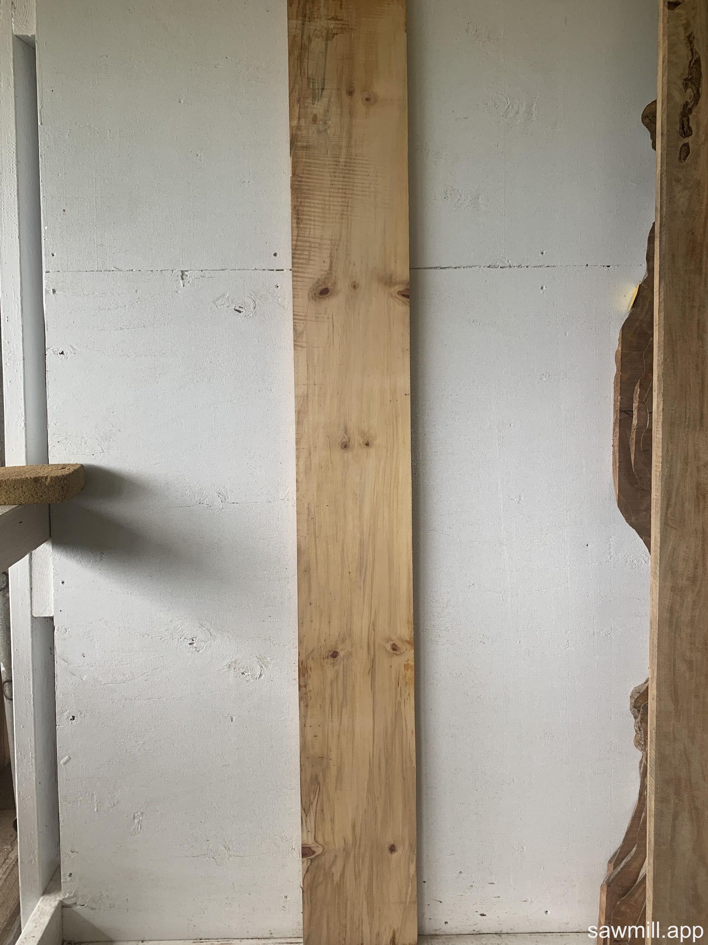 1" x 8" x 66" Norfolk Pine