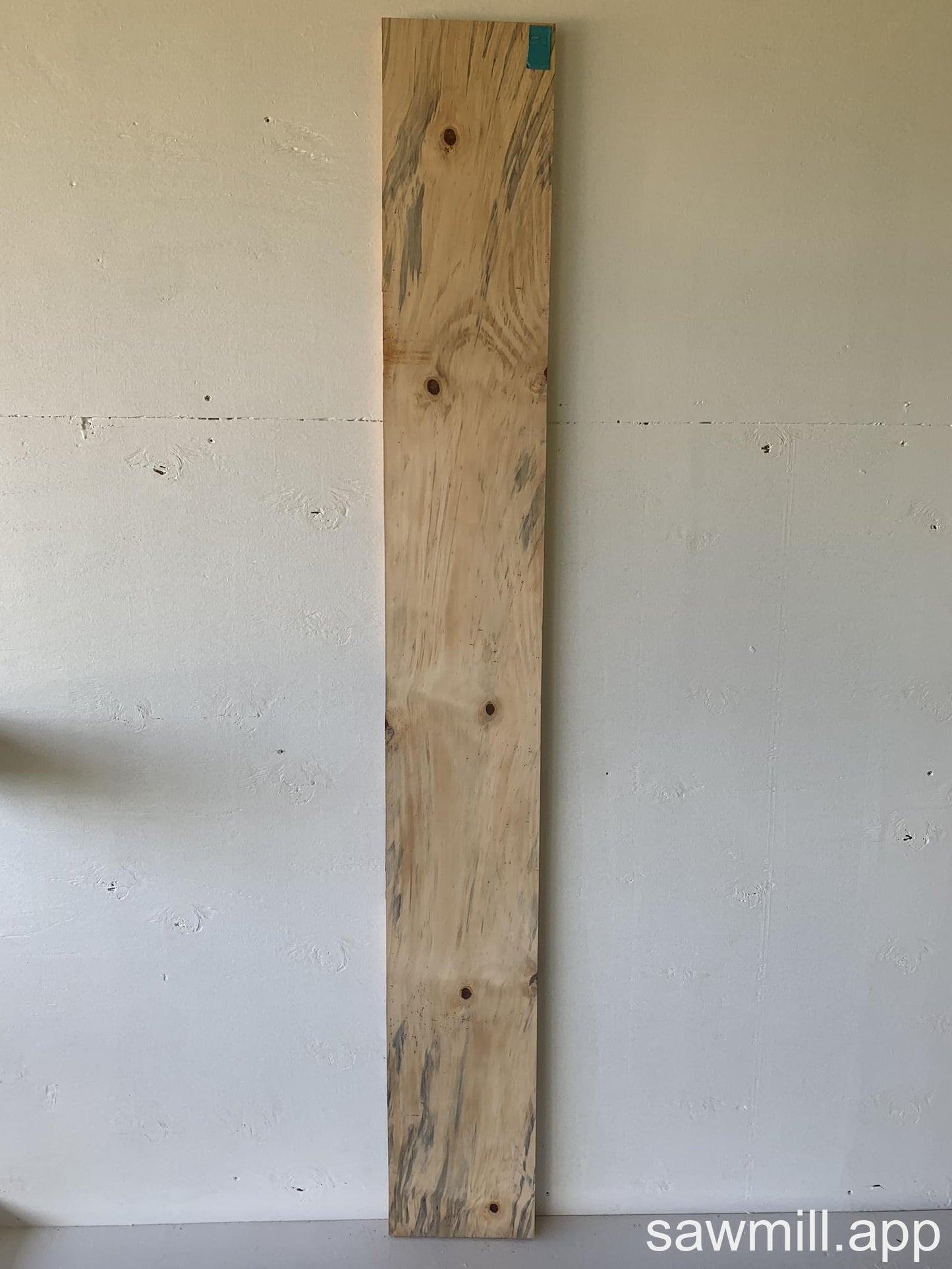 1" x 8" x 66" Norfolk Pine