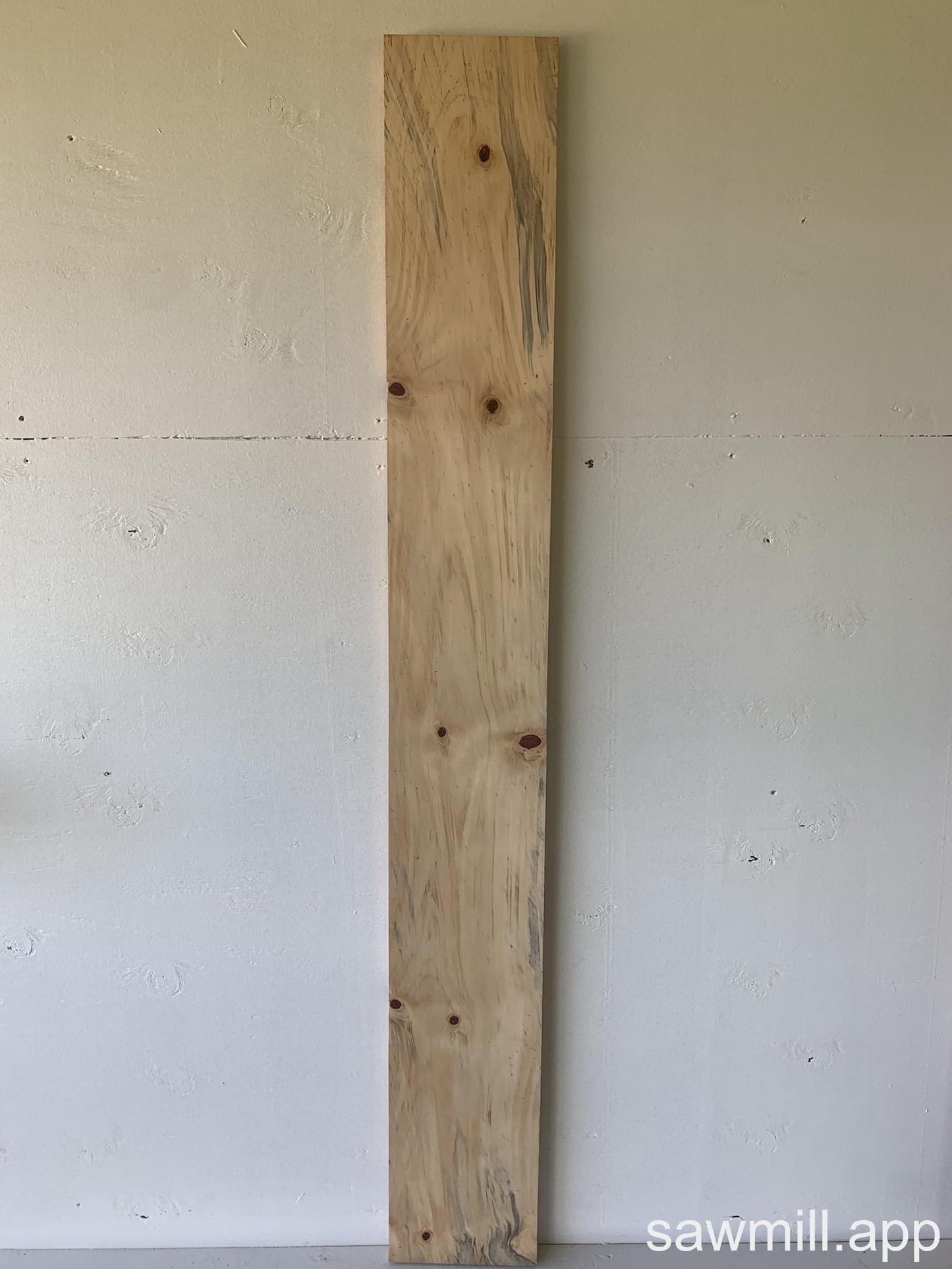 1" x 8" x 66" Norfolk Pine