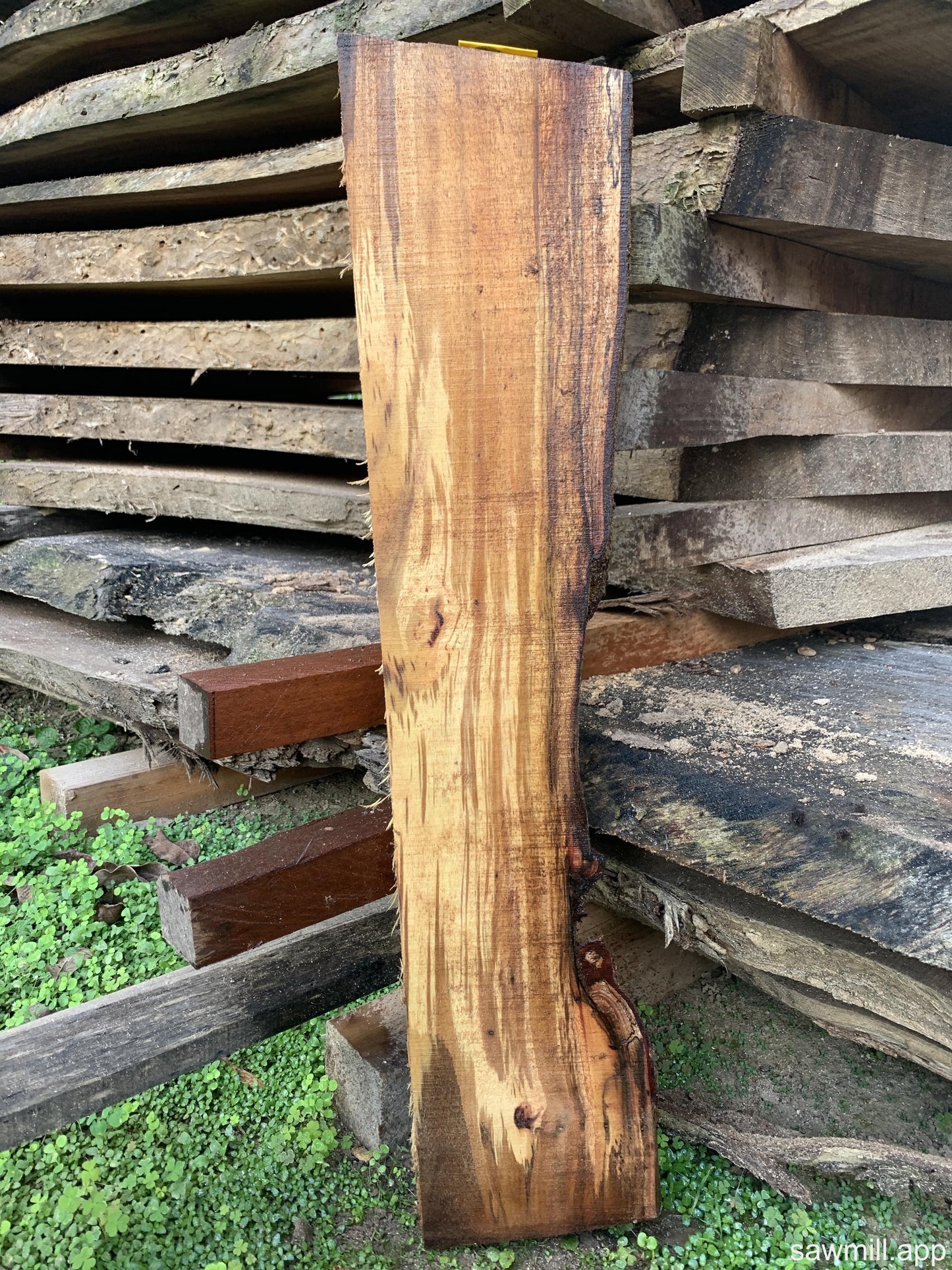 1" x 7" x 32" Koa