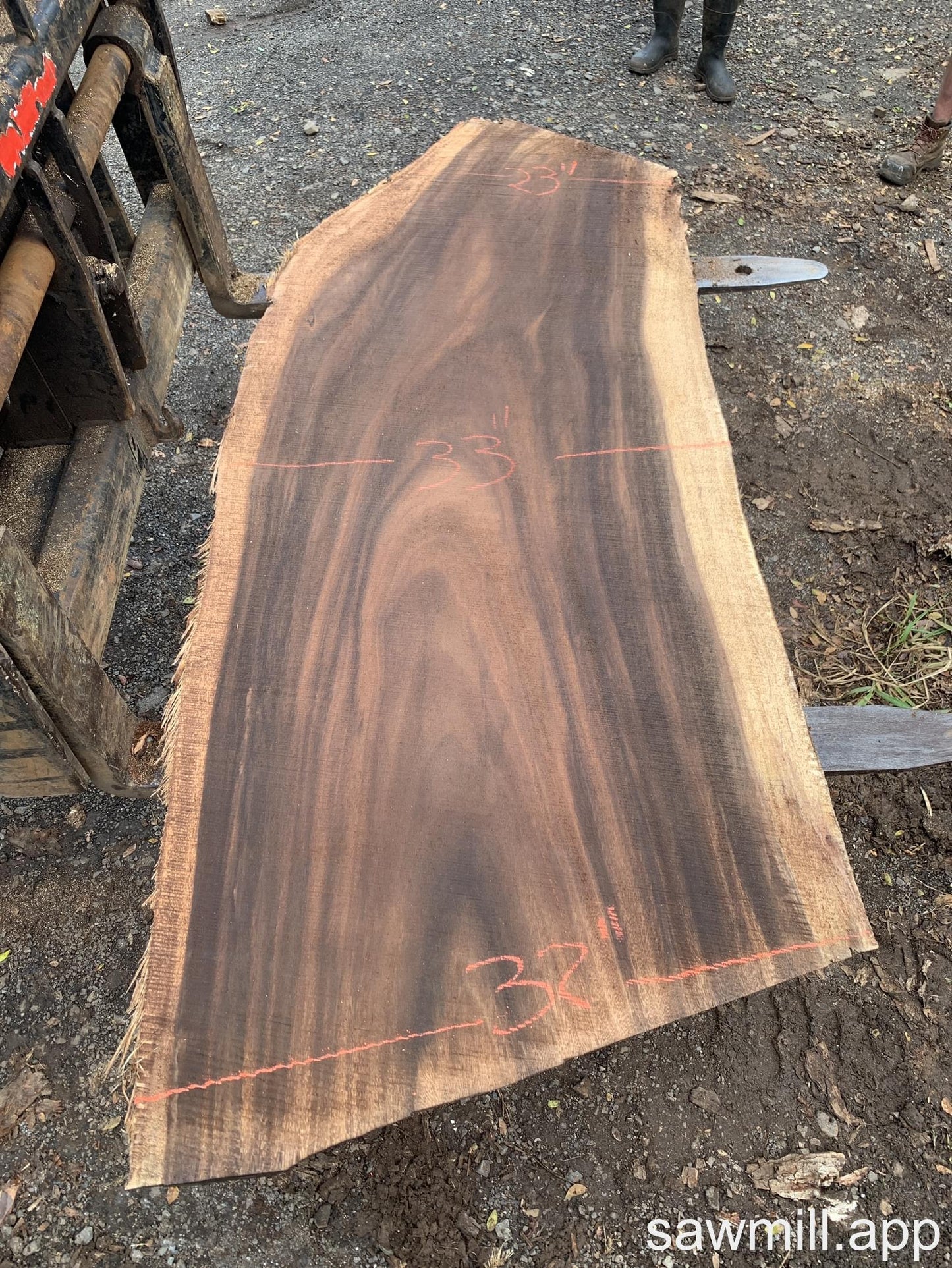 2.25" x 33" x 78" Monkeypod