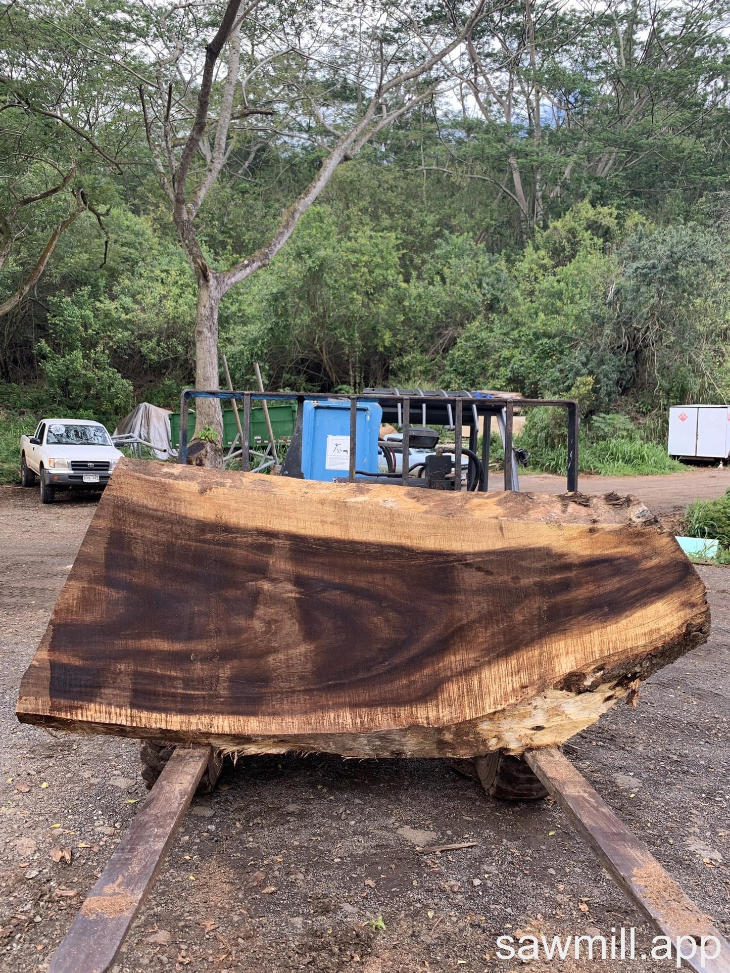 2.25" x 33" x 78" Monkeypod