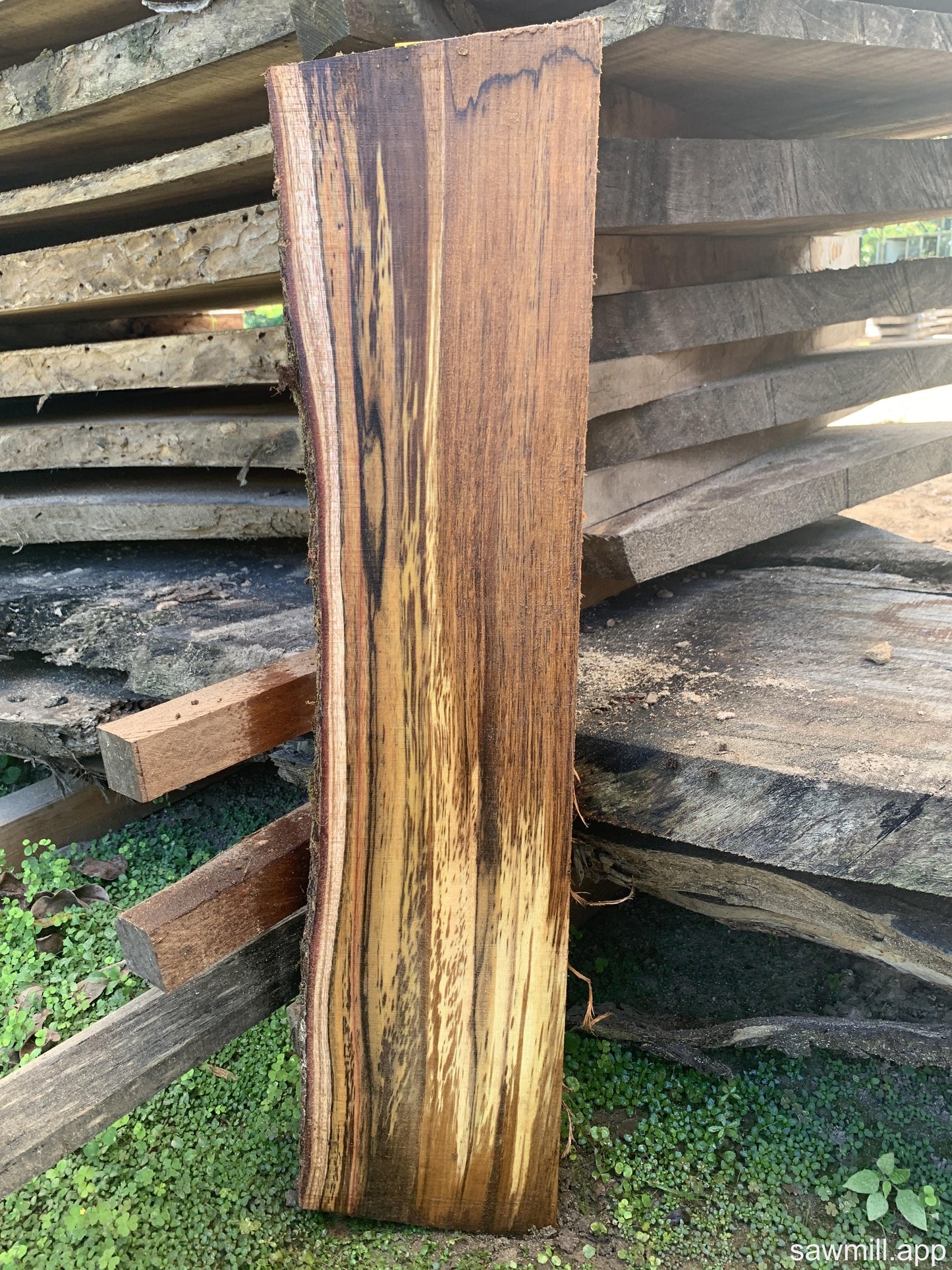 1.5" x 8" x 33" Koa