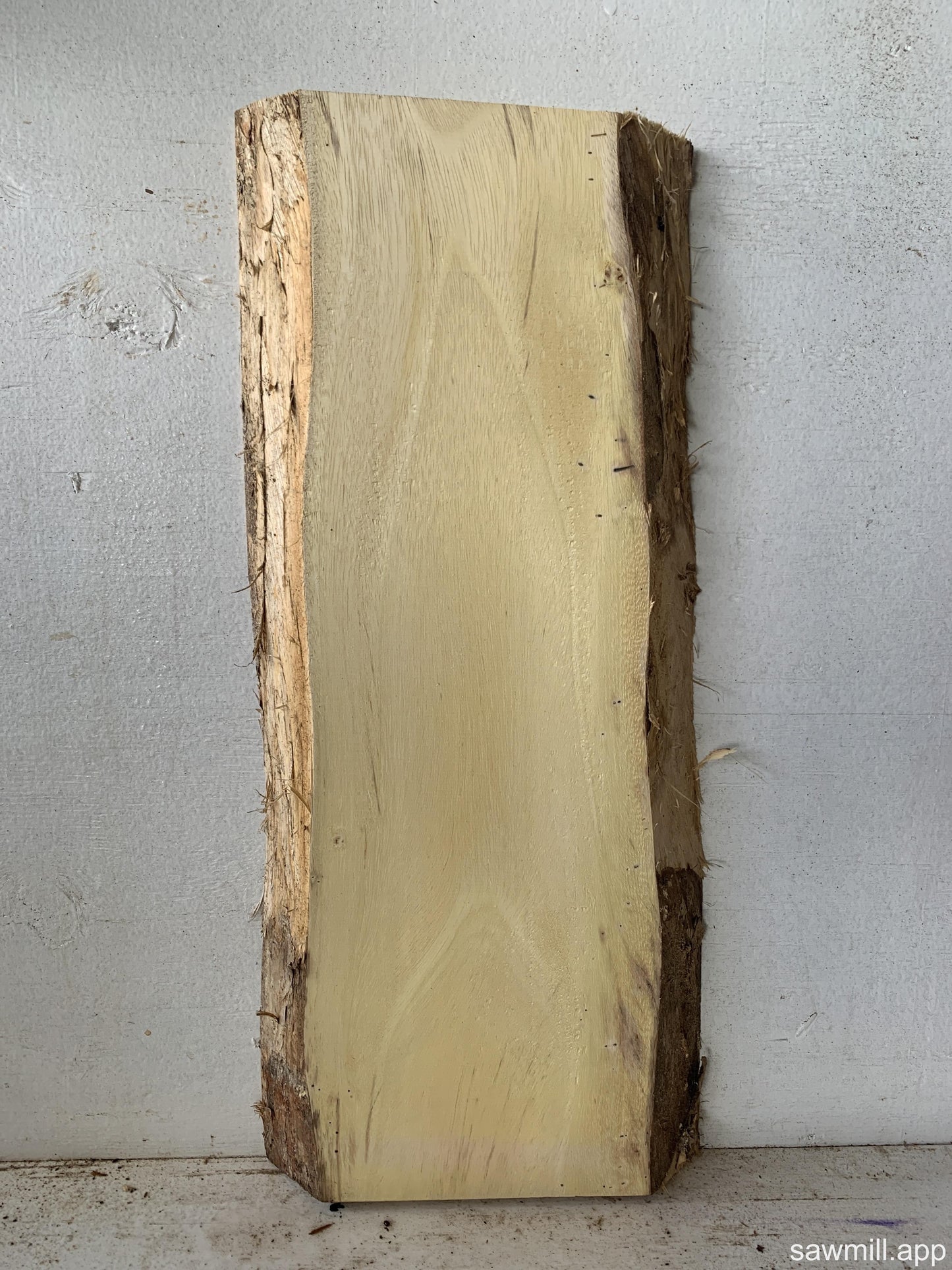 1.5" x 10" x 23" Monkeypod