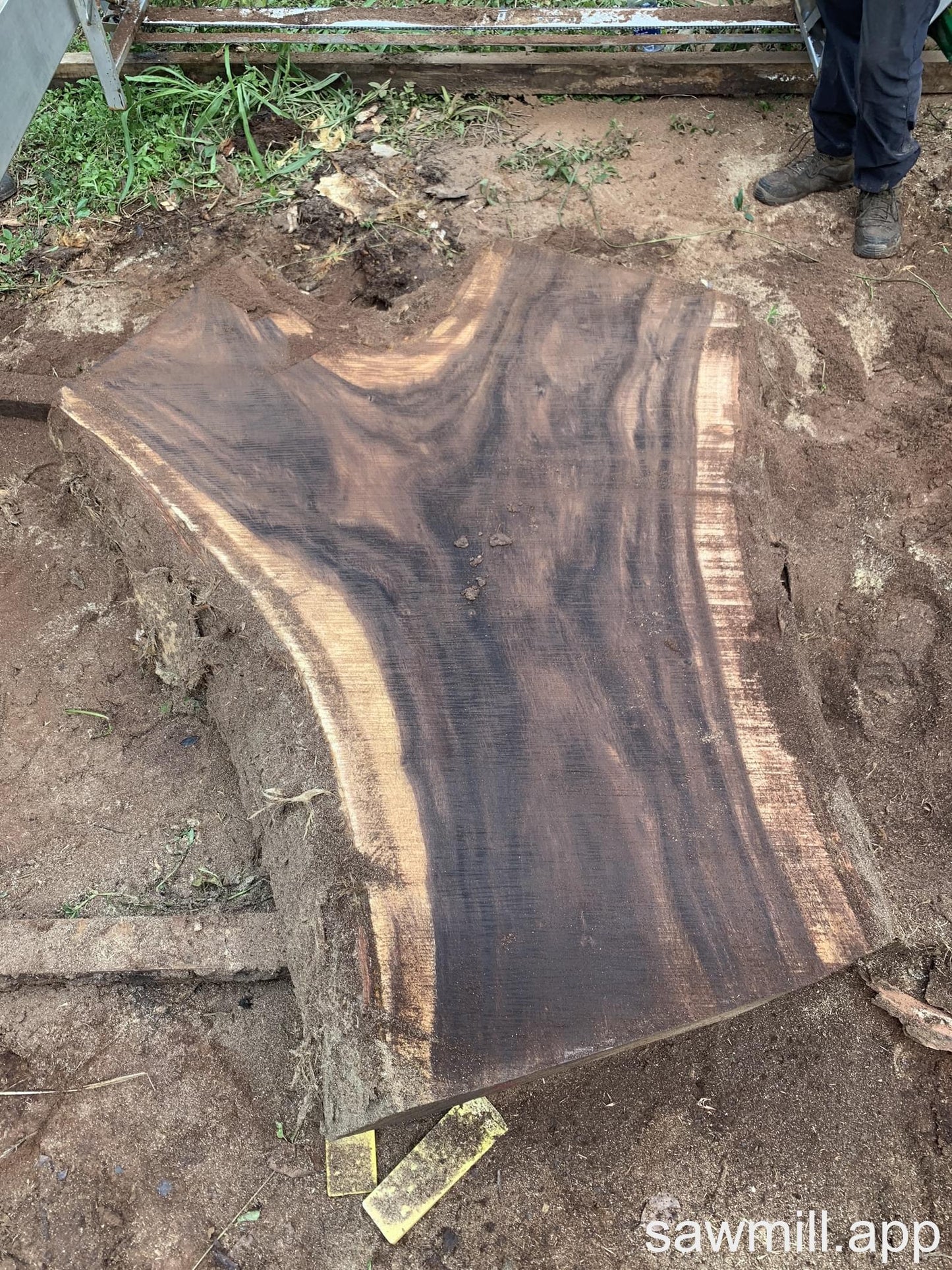 2.5" x 62" x 80" Monkeypod