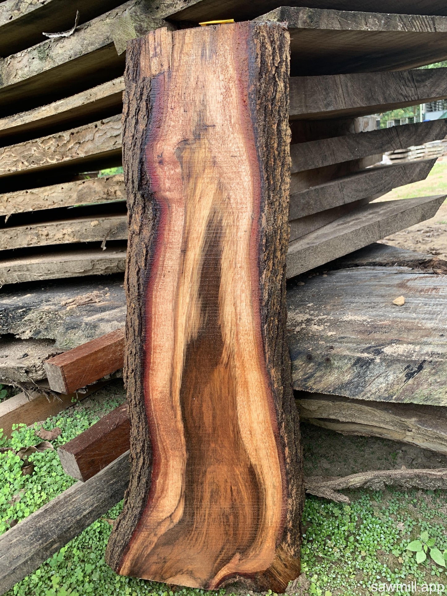 1" x 12" x 33" Koa