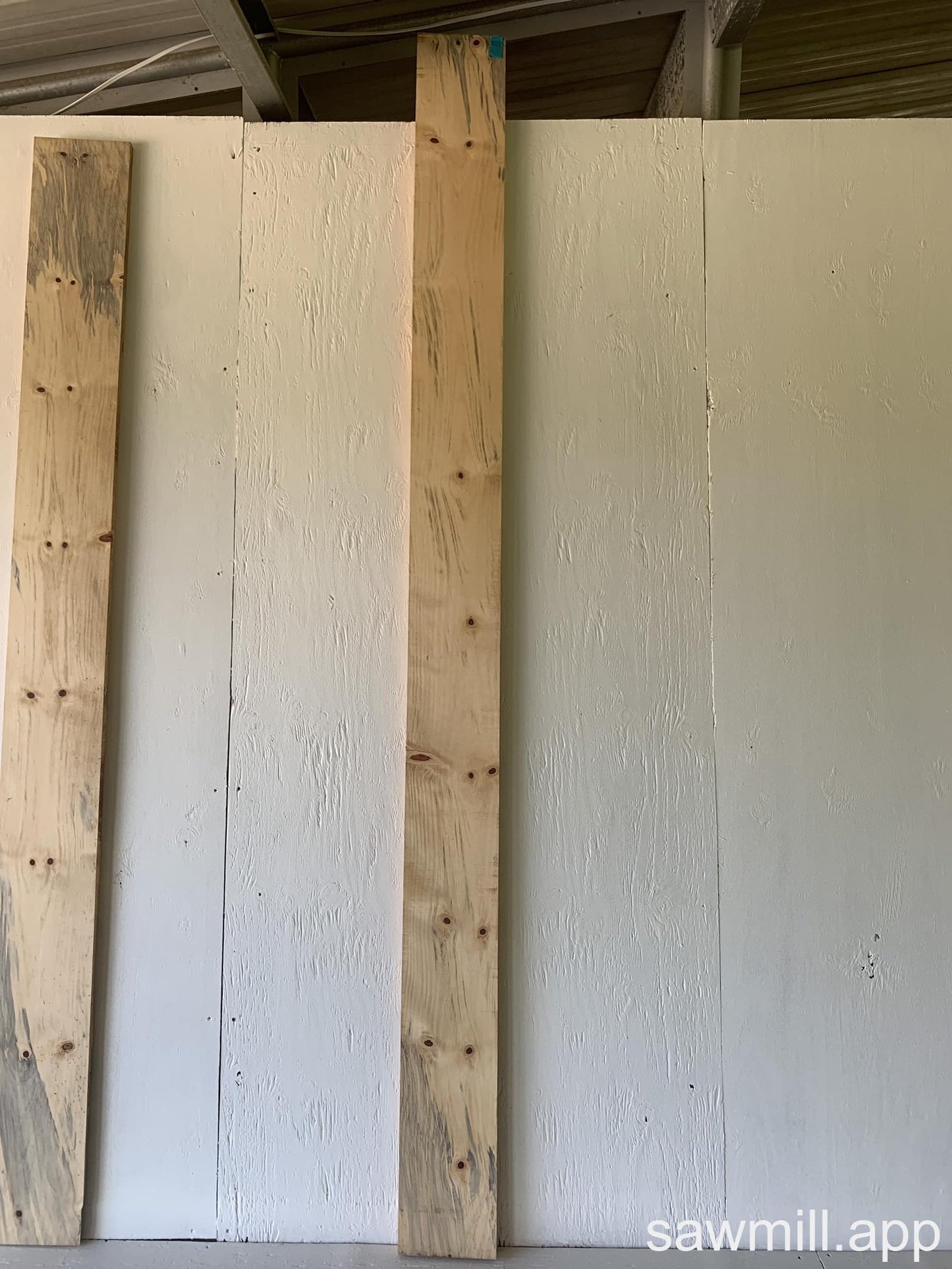 1" x 7" x 102" Norfolk Pine