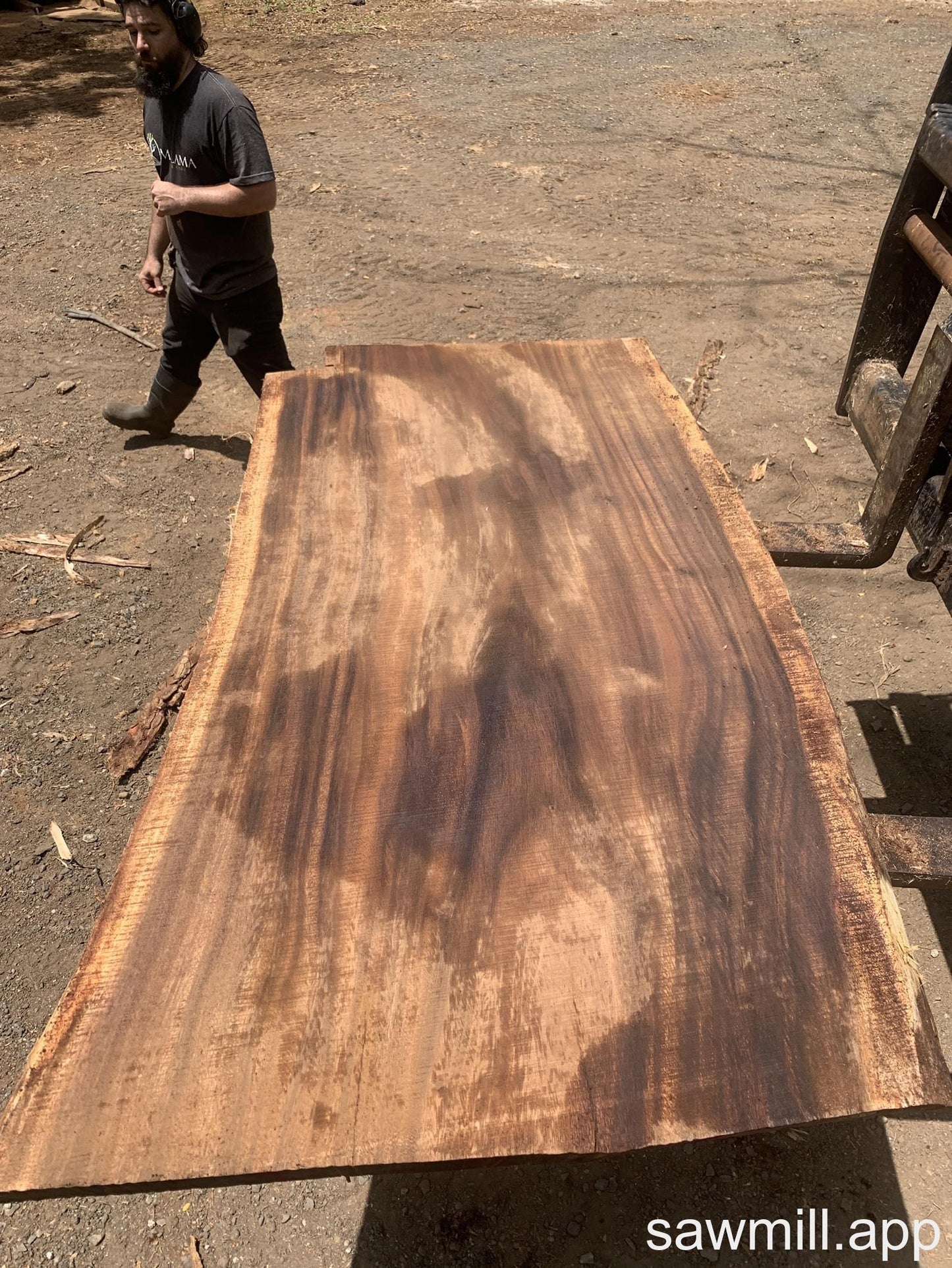 3" x 42" x 74" Monkeypod