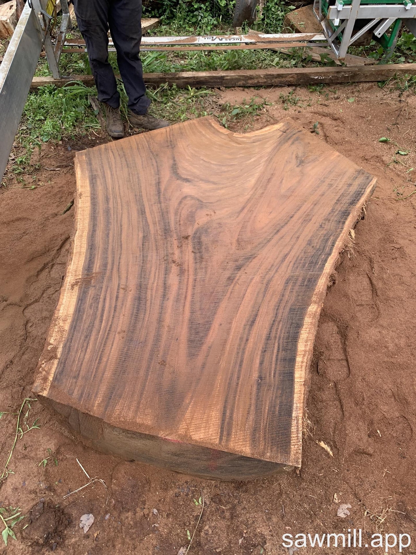 2.5" x 66" x 80" Monkeypod