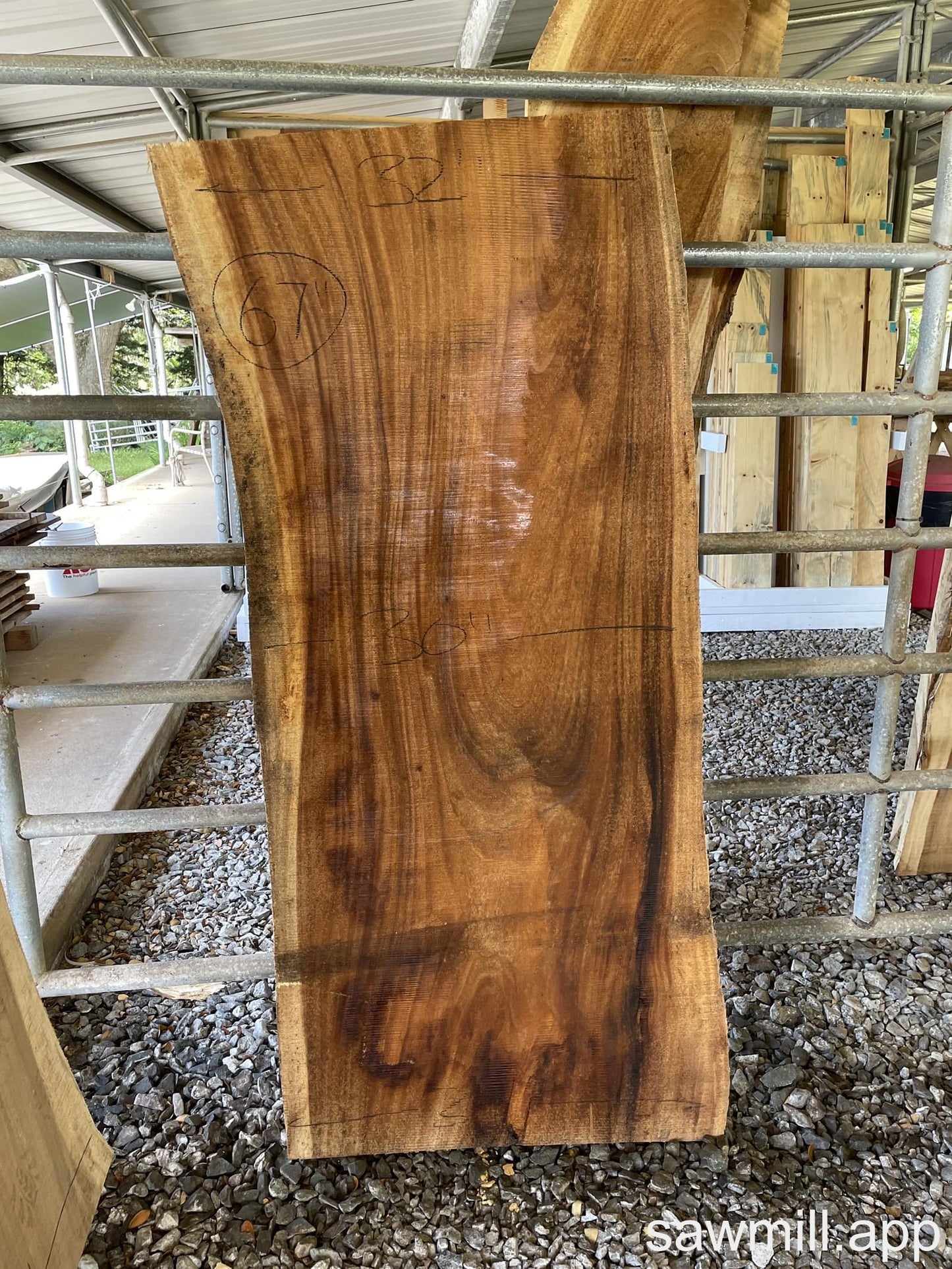 2.5" x 32" x 67" Monkeypod