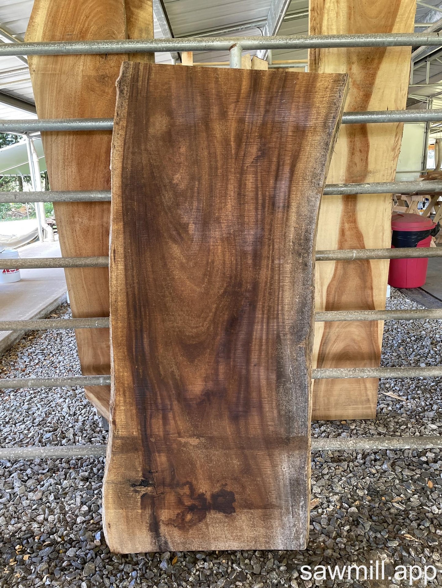 2.5" x 32" x 67" Monkeypod