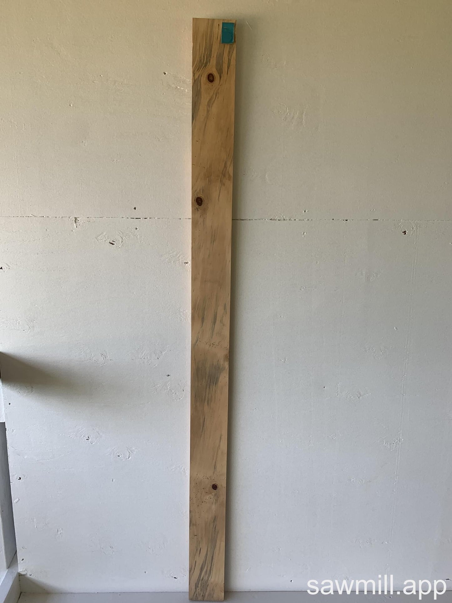 1" x 4" x 67" Norfolk Pine