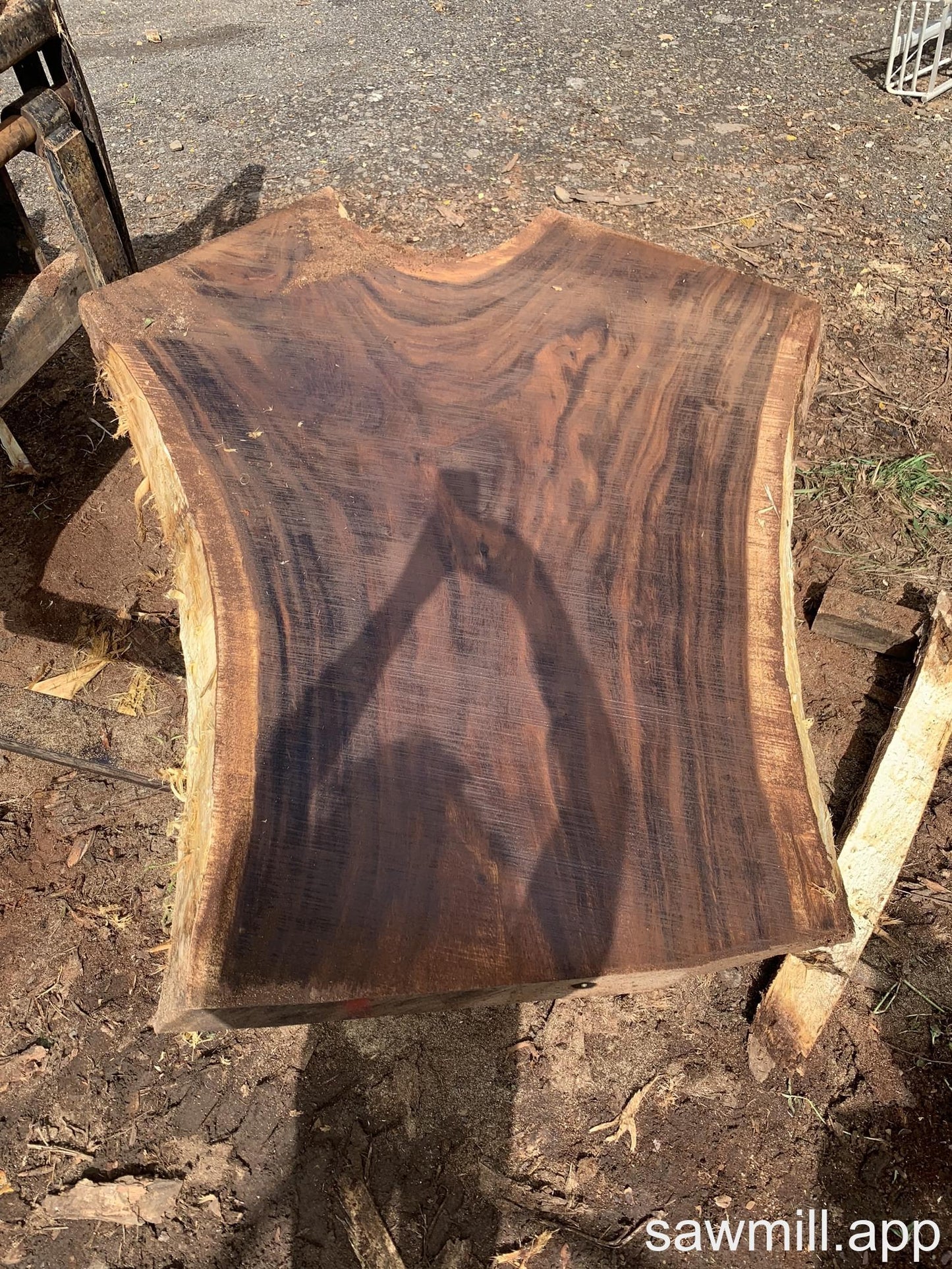 4" x 66" x 80" Monkeypod