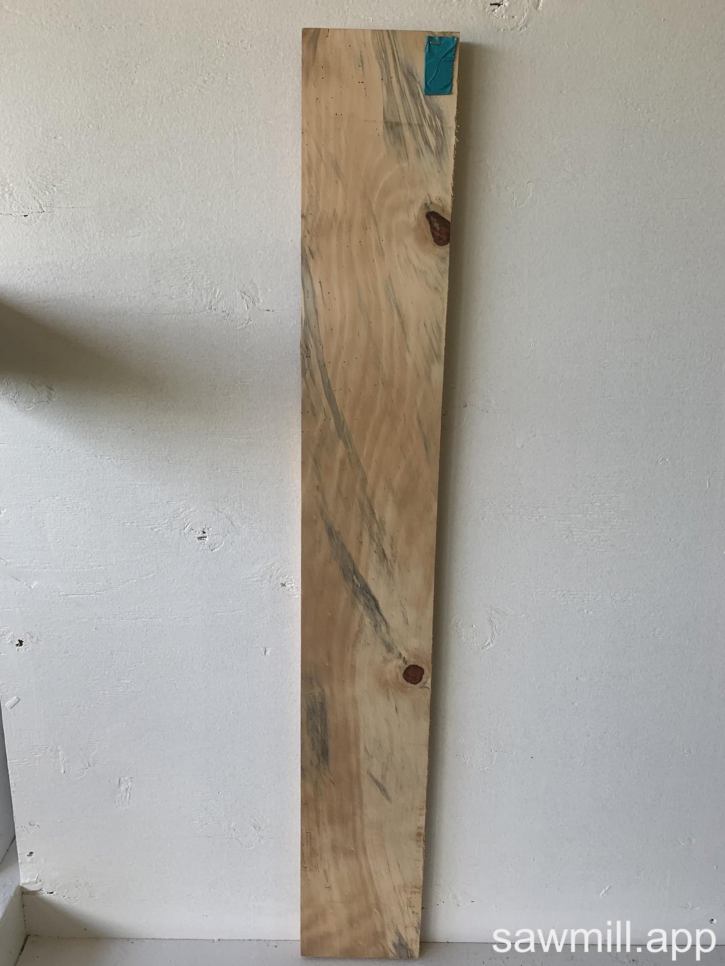 1" x 5" x 41" Norfolk Pine