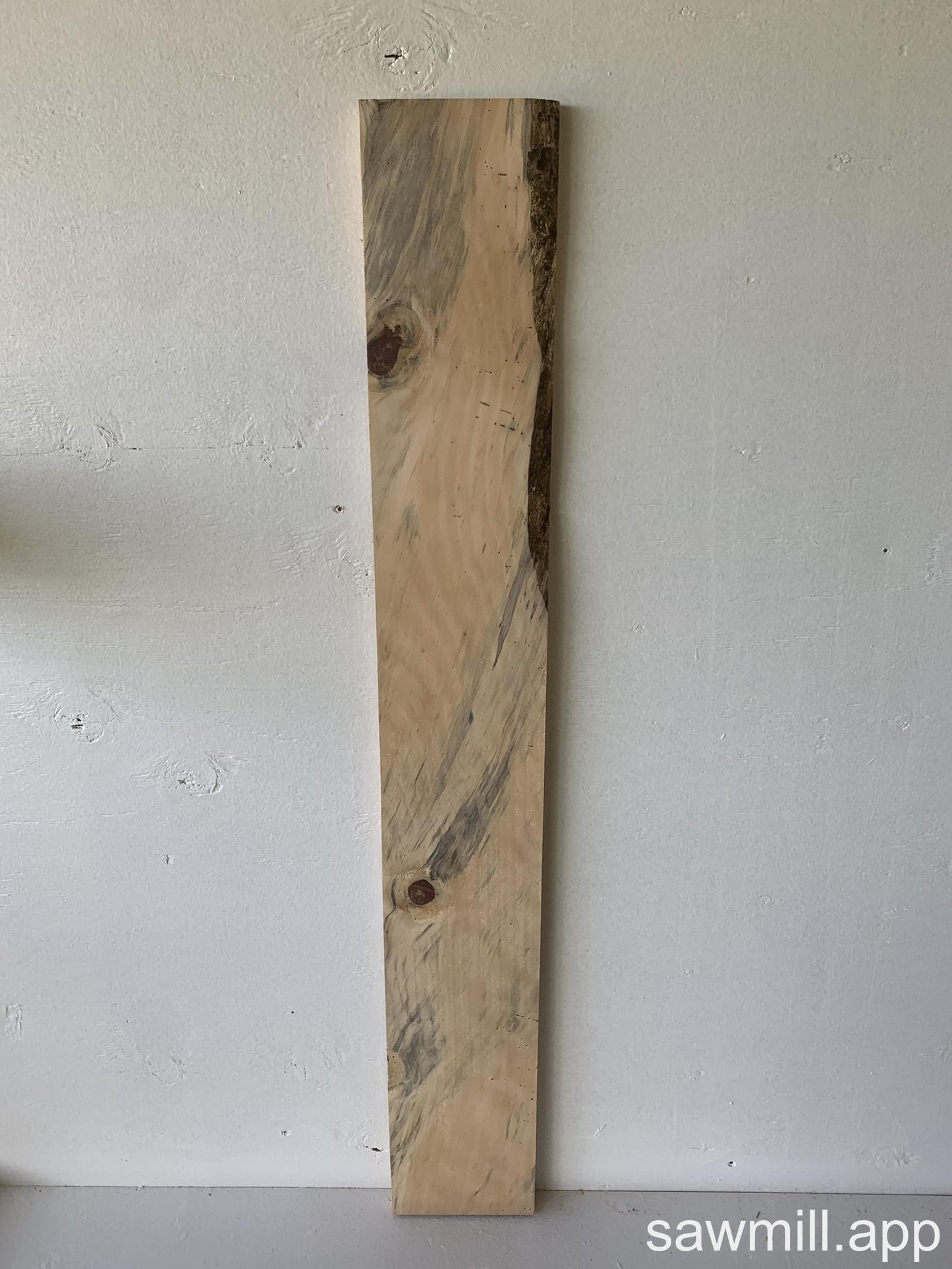 1" x 5" x 41" Norfolk Pine