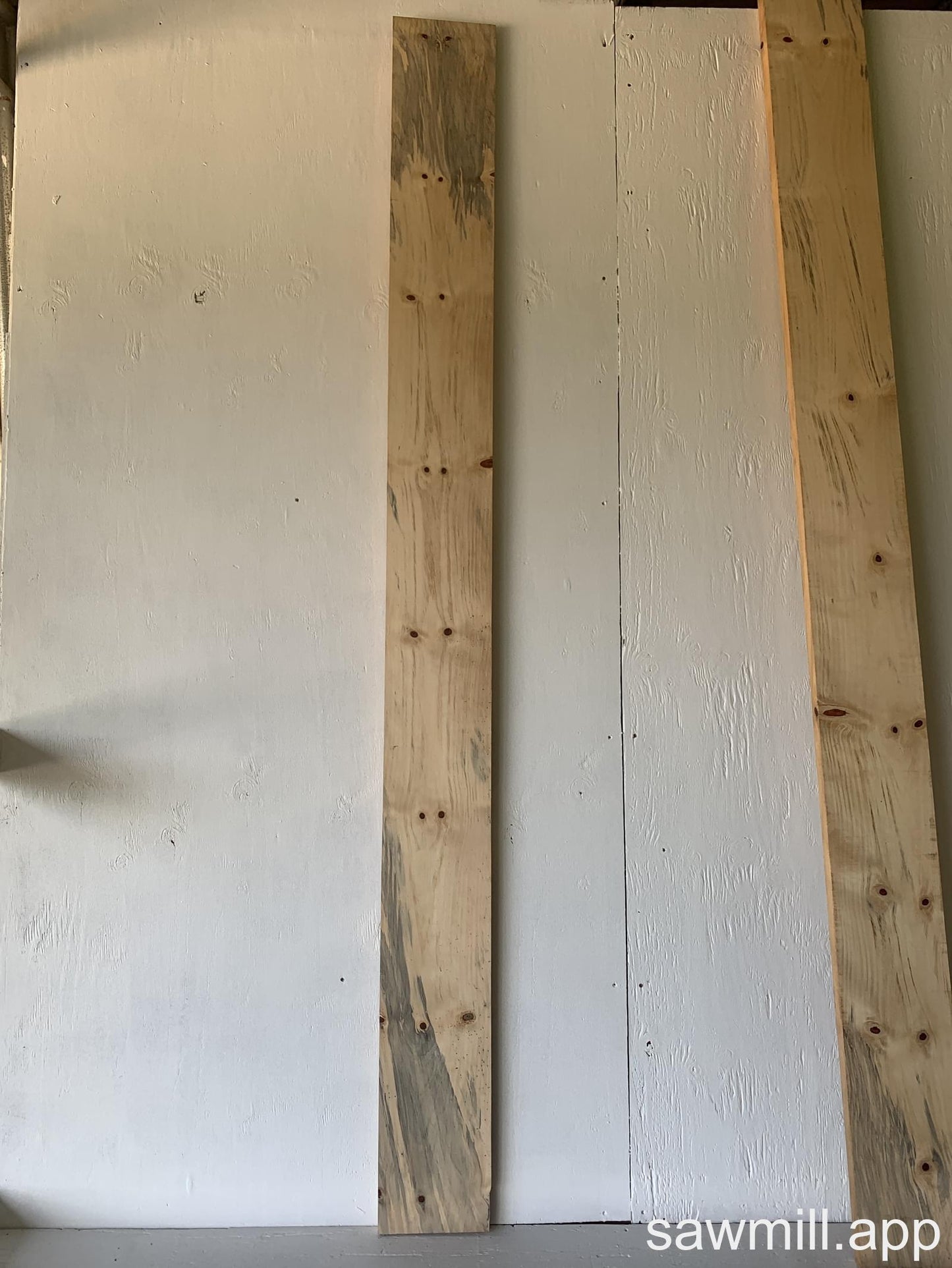 1" x 8" x 93" Norfolk Pine