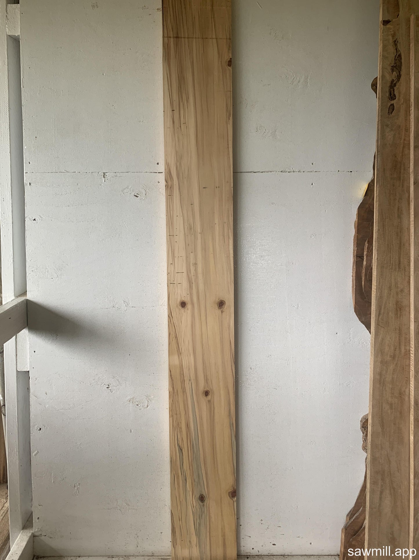 1" x 8" x 68" Norfolk Pine