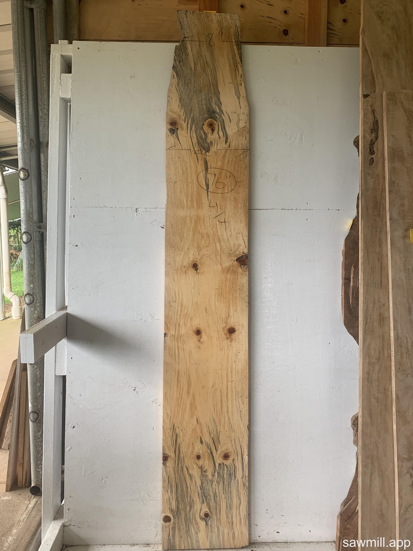 1" x 12" x 76" Norfolk Pine