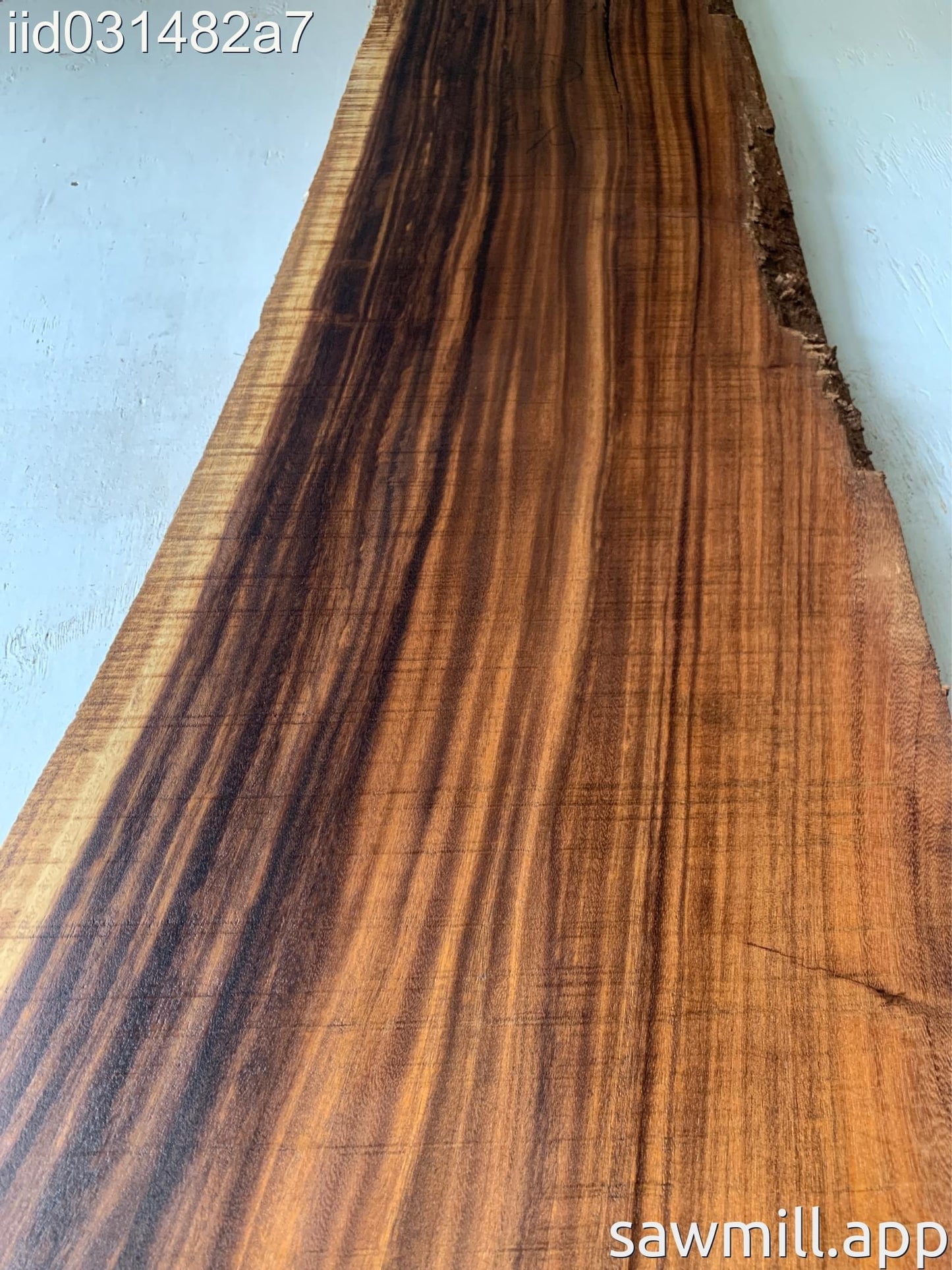2.75" x 29" x 66" Monkeypod