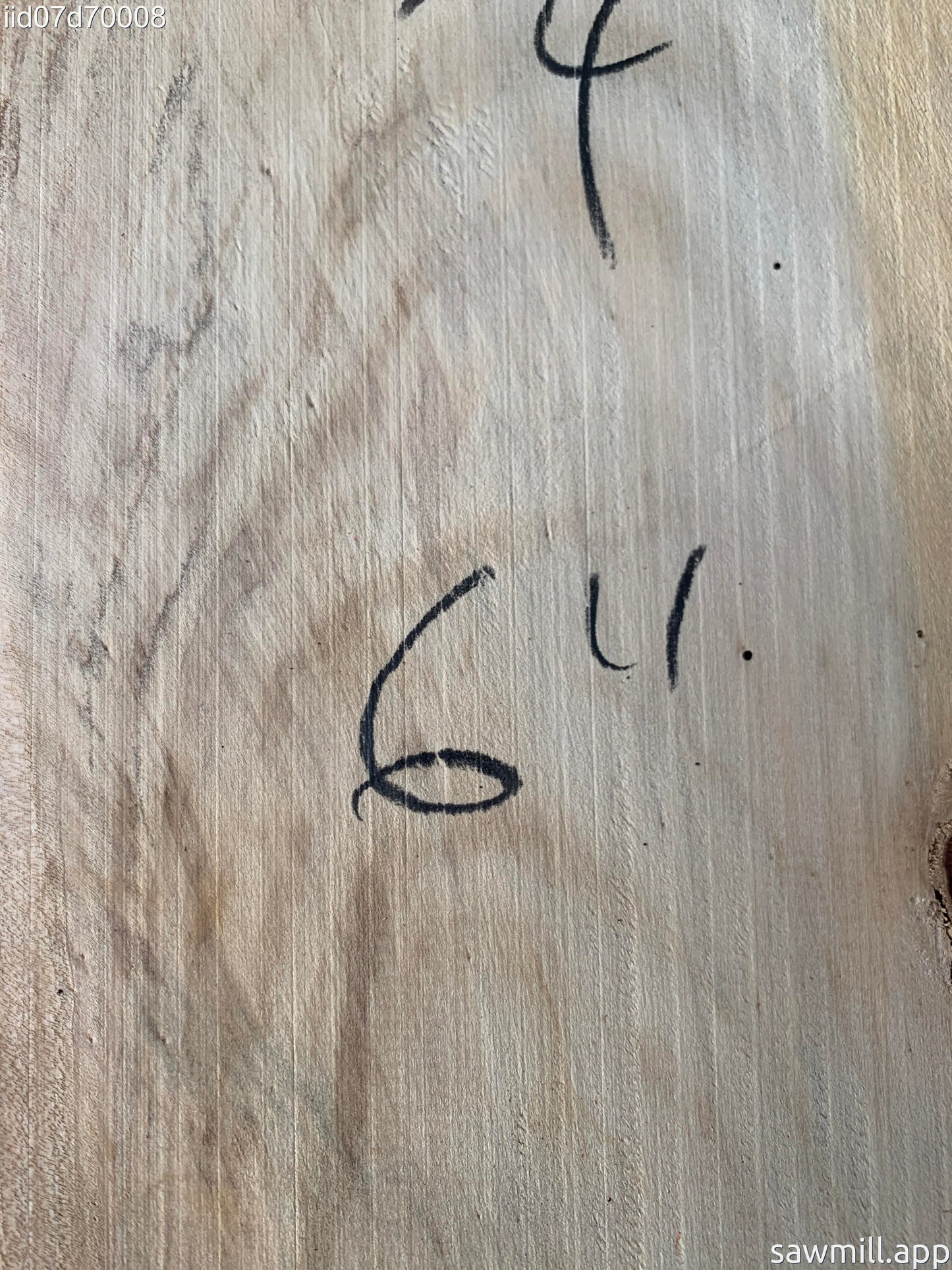 1" x 7" x 36" Norfolk Pine