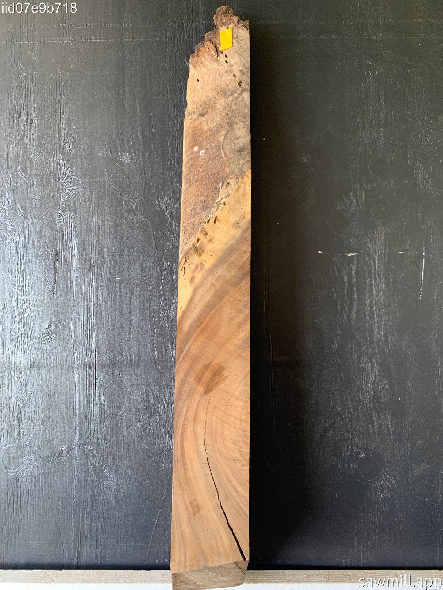 7.5" x 6" x 52" Monkeypod