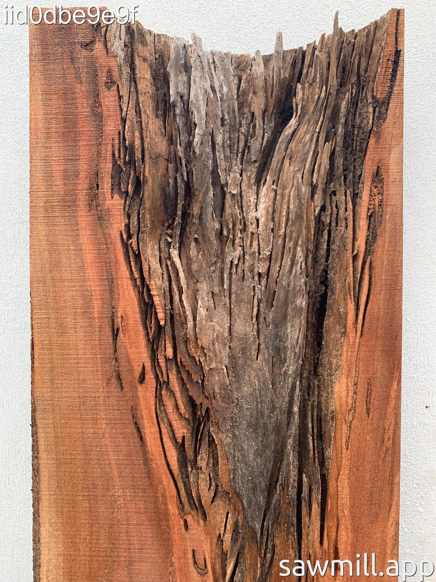 3.5" x 14" x 79" Avocado