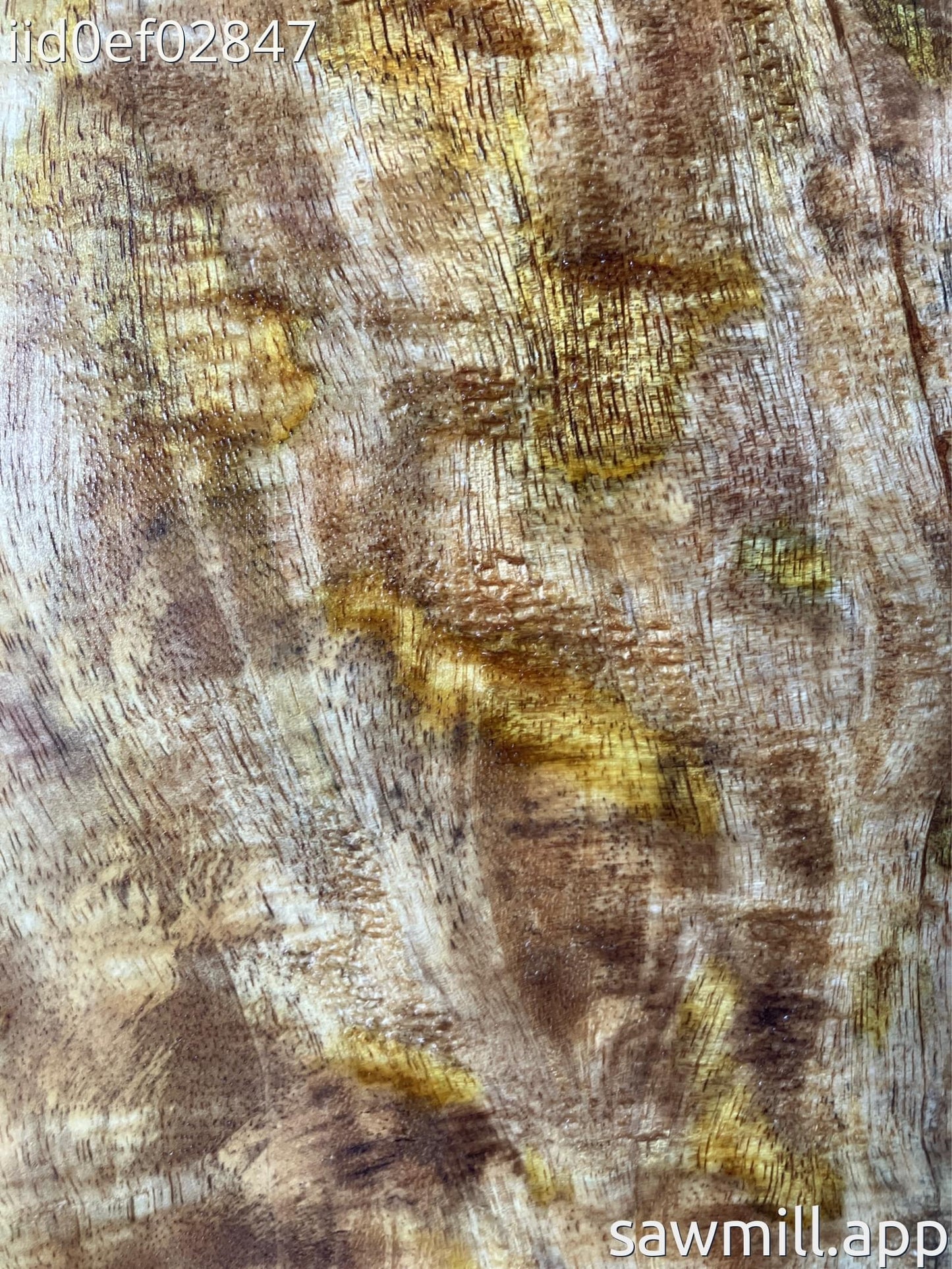 1.5" x 7" x 33" Mango