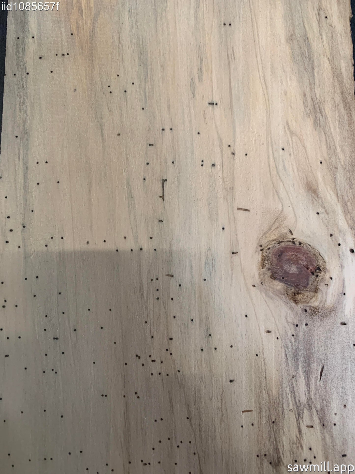 1" x 7" x 69" Norfolk Pine
