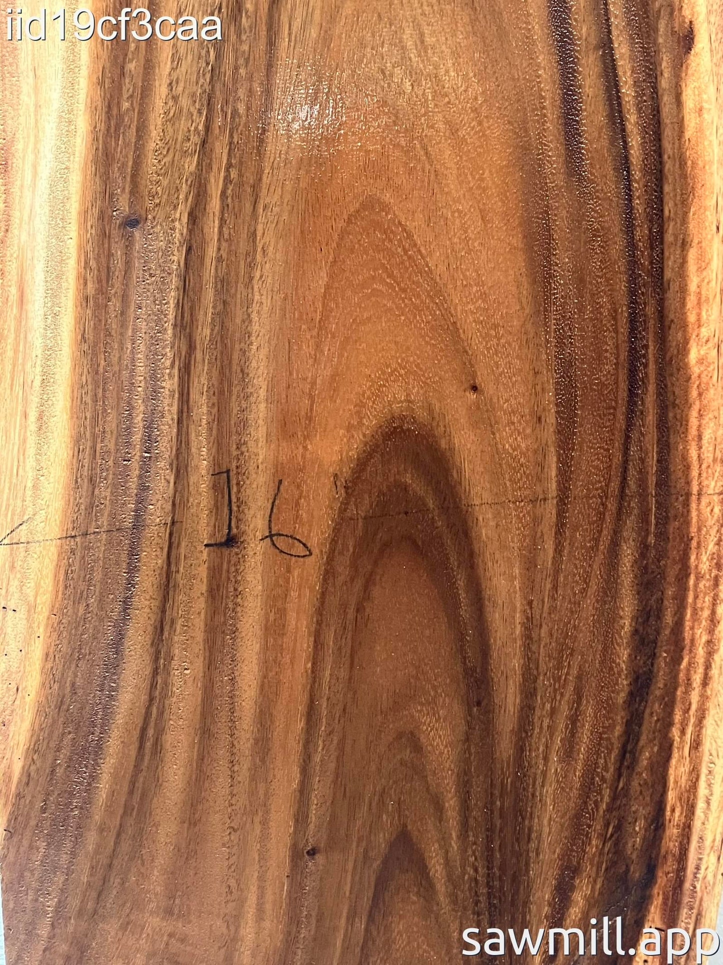 1.5" x 16" x 89" Monkeypod