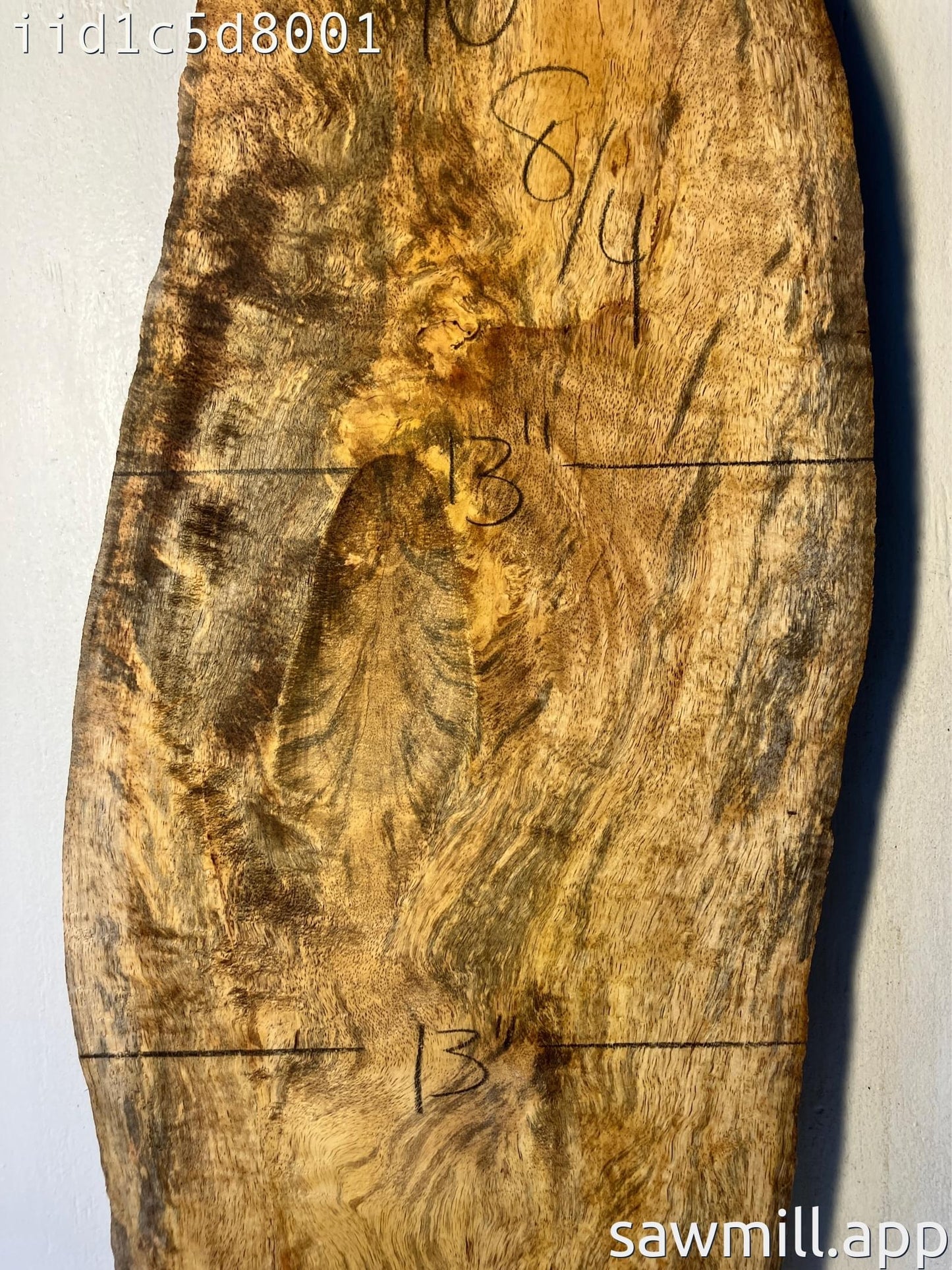 2" x 13" x 40" Mango