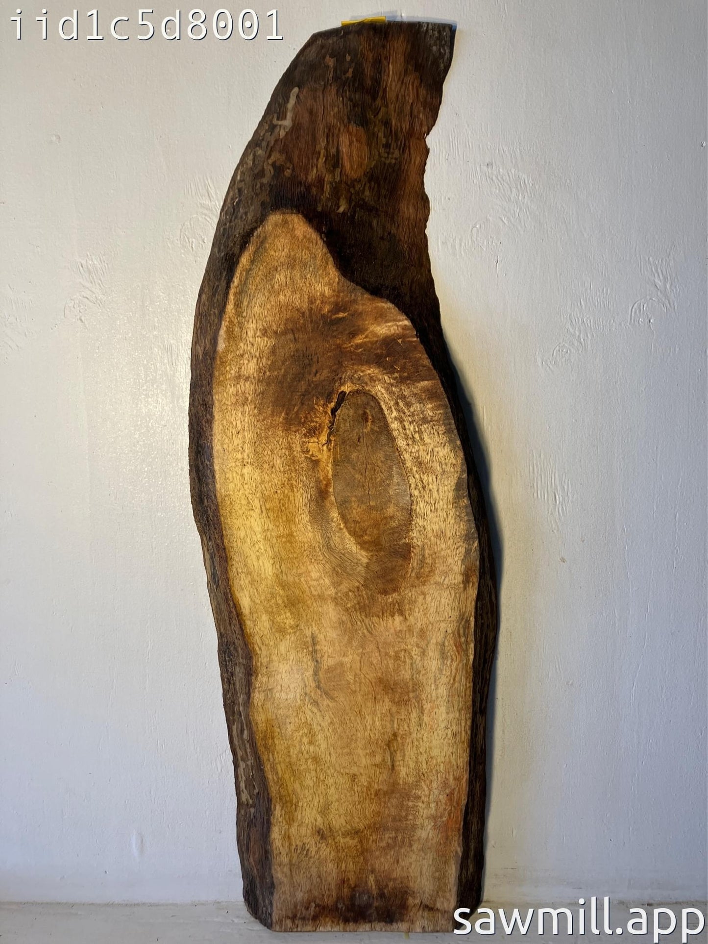 2" x 13" x 40" Mango