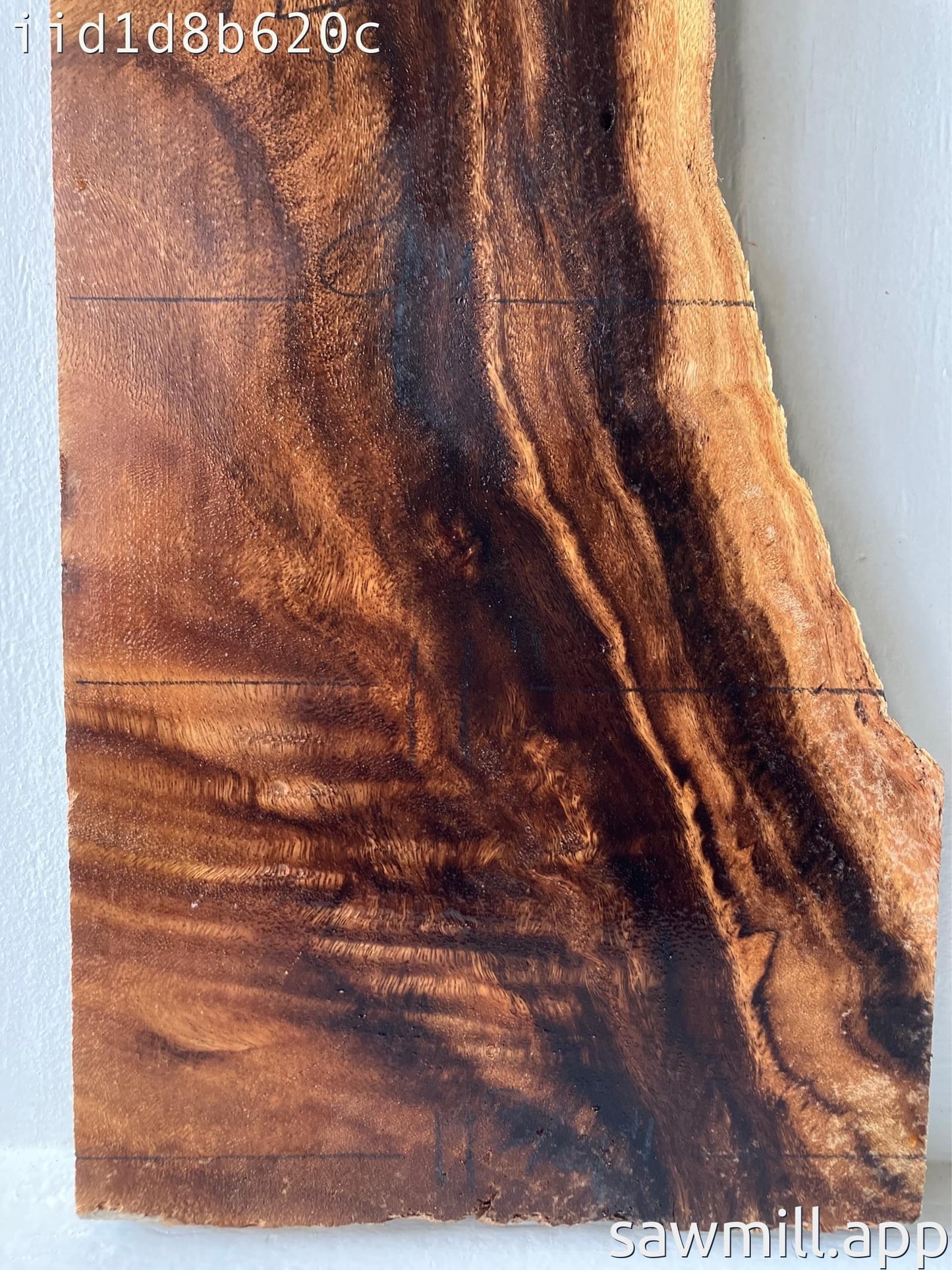 1.75" x 11" x 31" Monkeypod