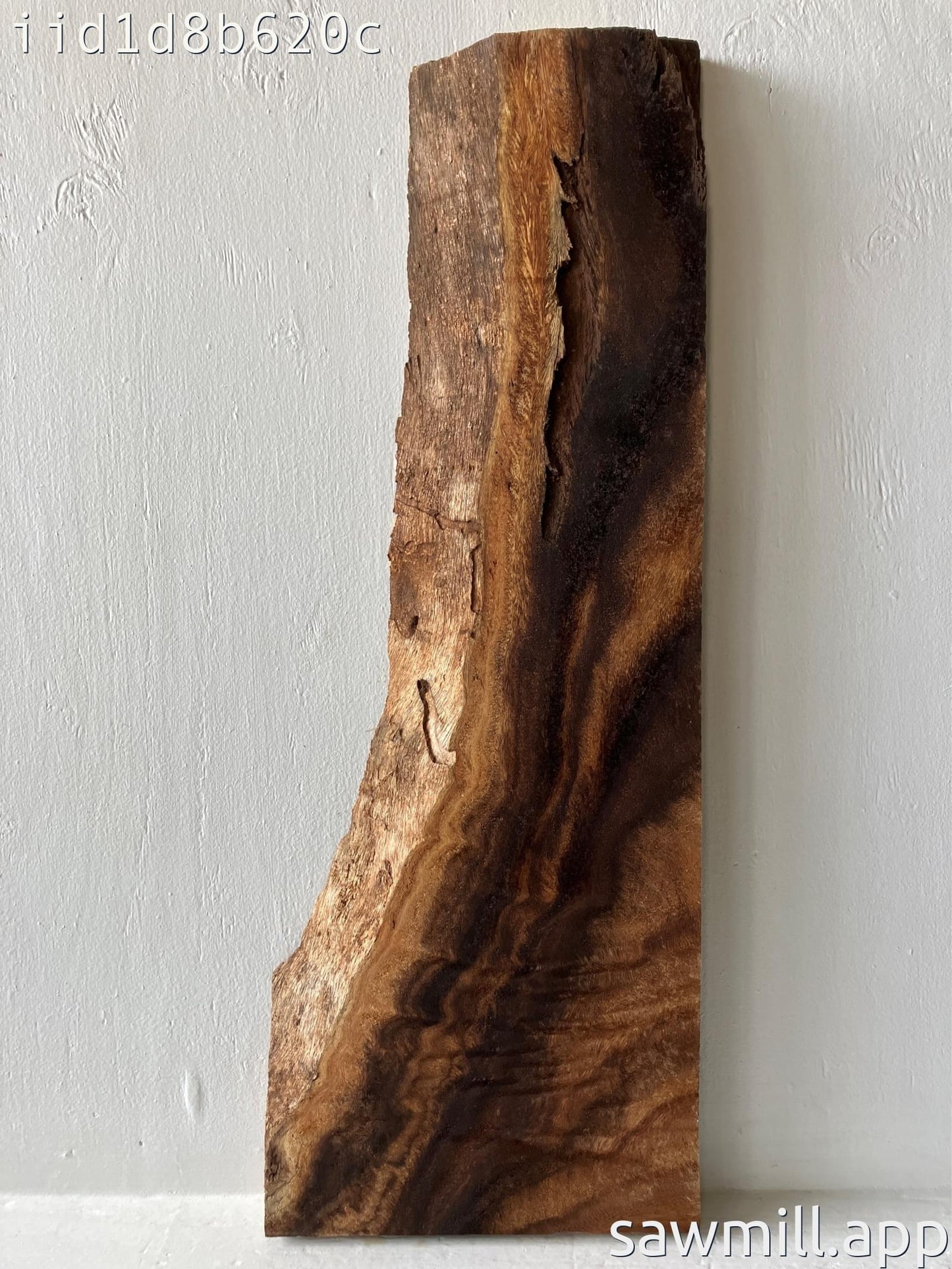 1.75" x 11" x 31" Monkeypod