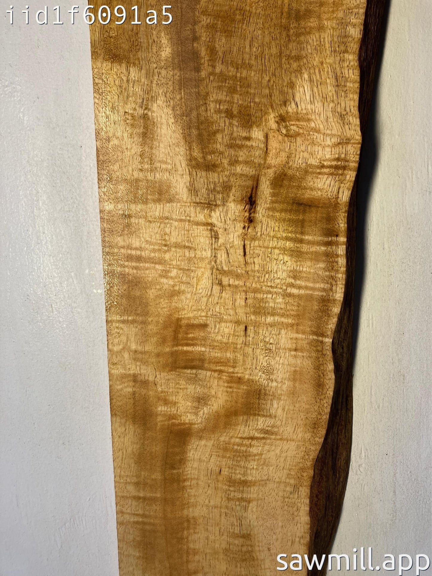 2" x 10" x 33" Mango