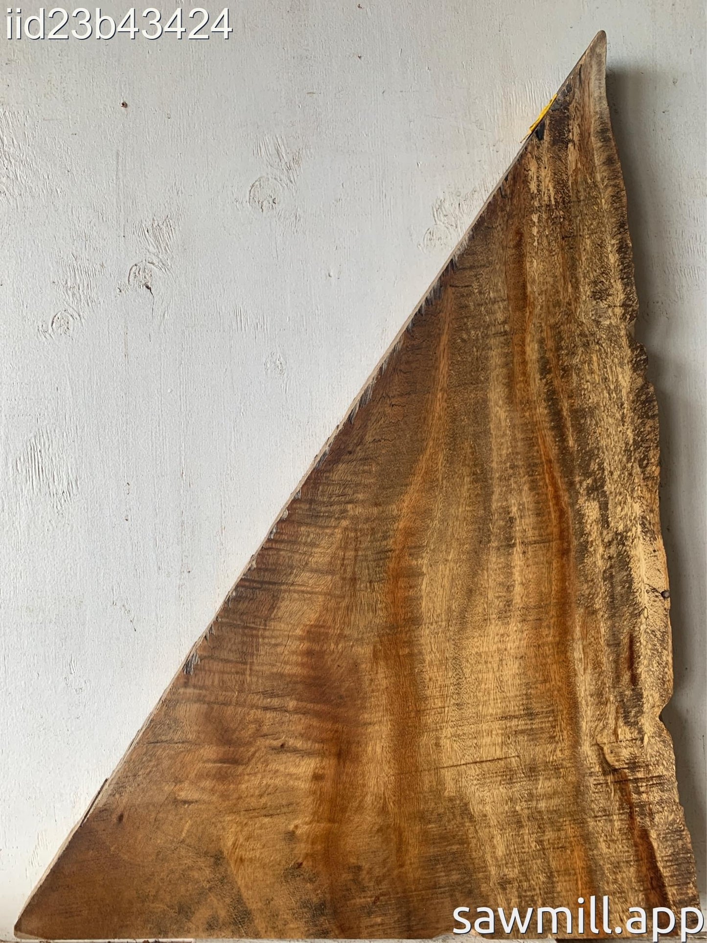 2" x 25" x 34" Monkeypod