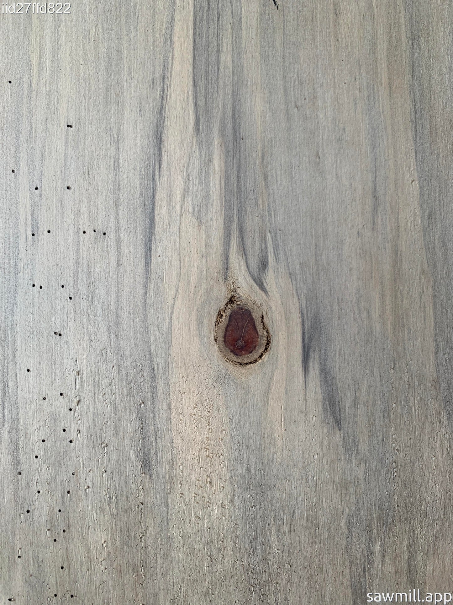 1" x 8" x 39" Norfolk Pine