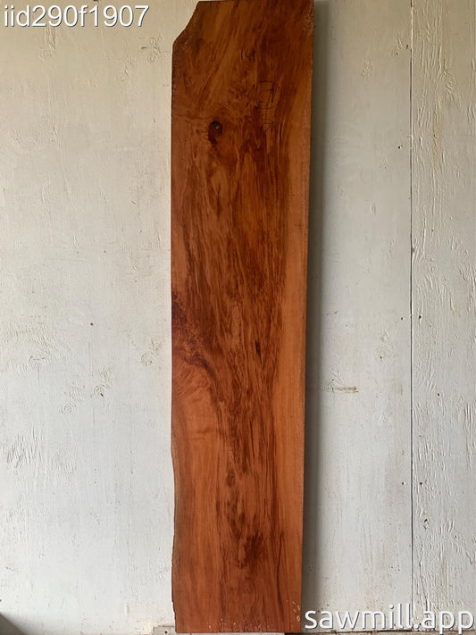 1.25" x 14" x 67" Lychee