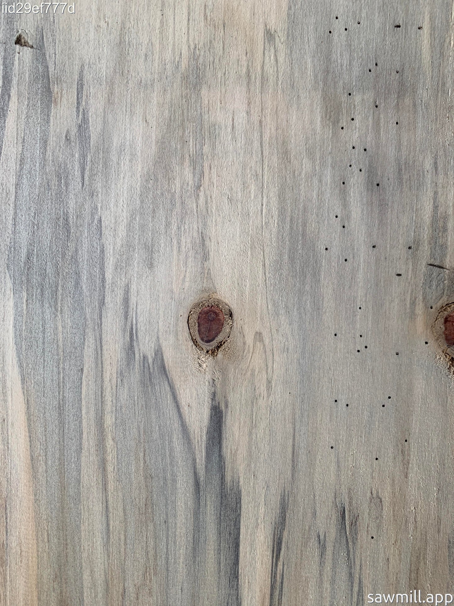 1" x 8" x 42" Norfolk Pine