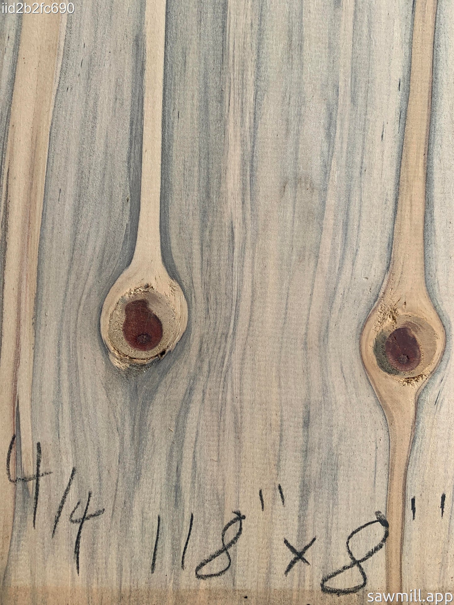 1" x 8" x 118" Norfolk Pine