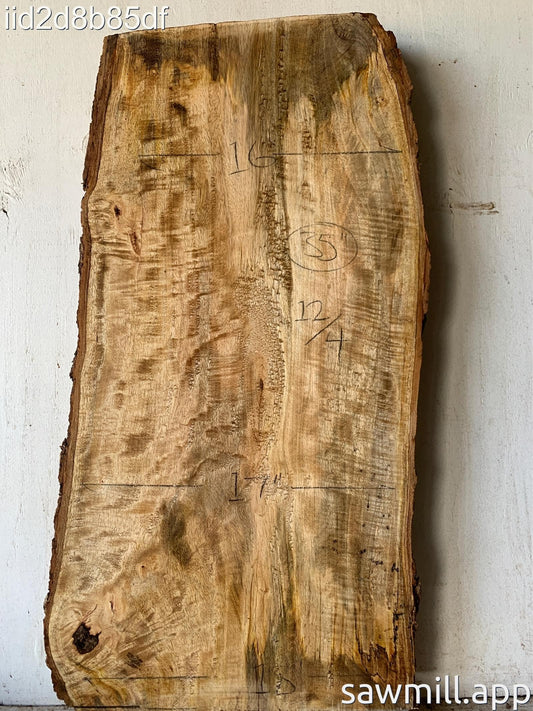 3" x 18" x 35" Mango