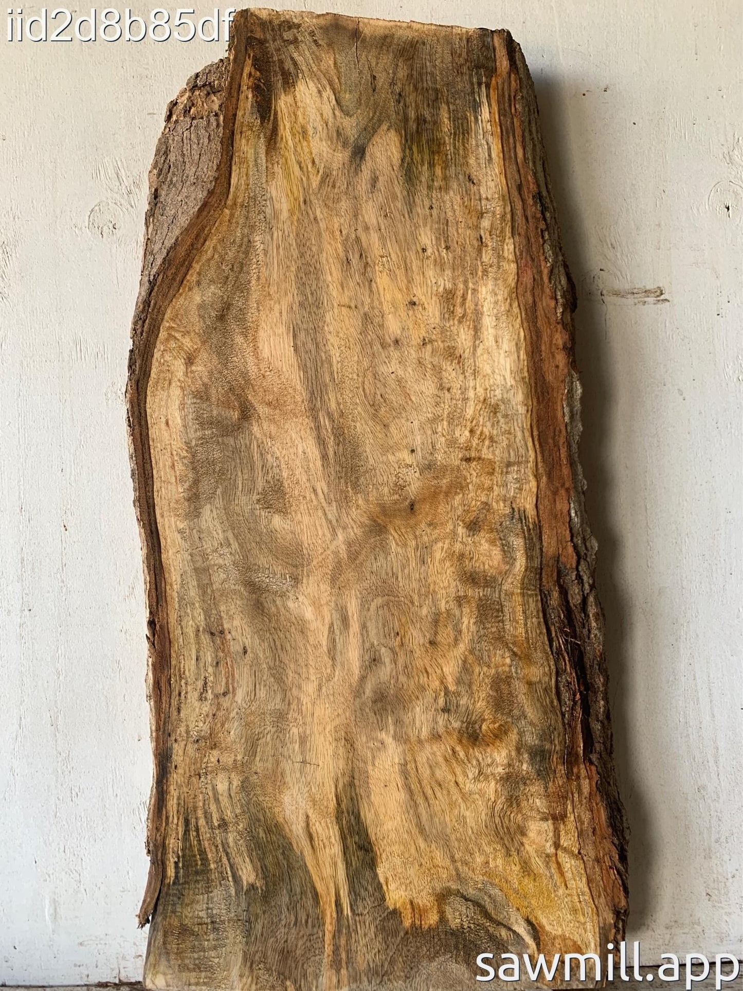 3" x 18" x 35" Mango