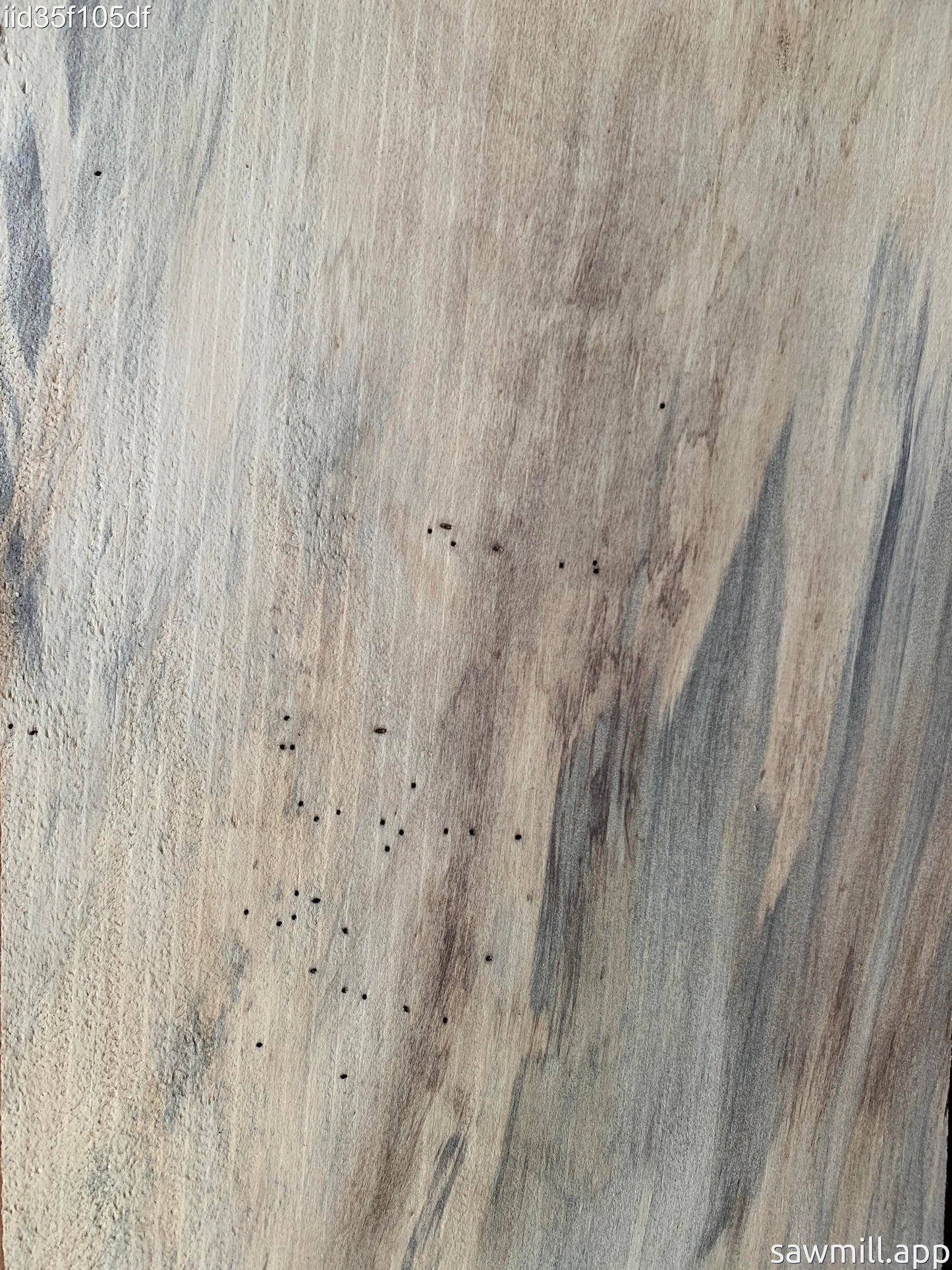 1" x 7" x 44" Norfolk Pine