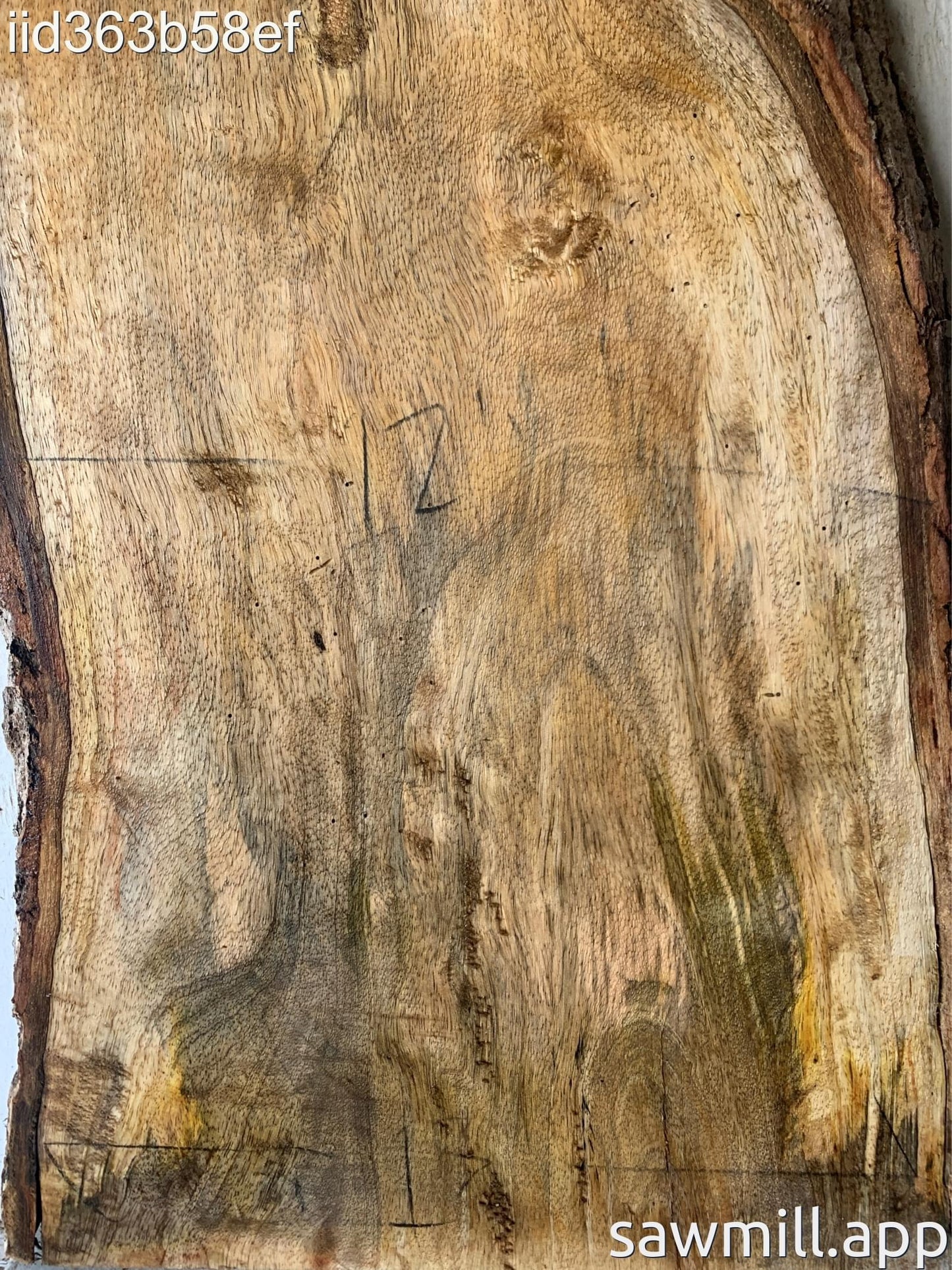 2.75" x 17" x 39" Mango