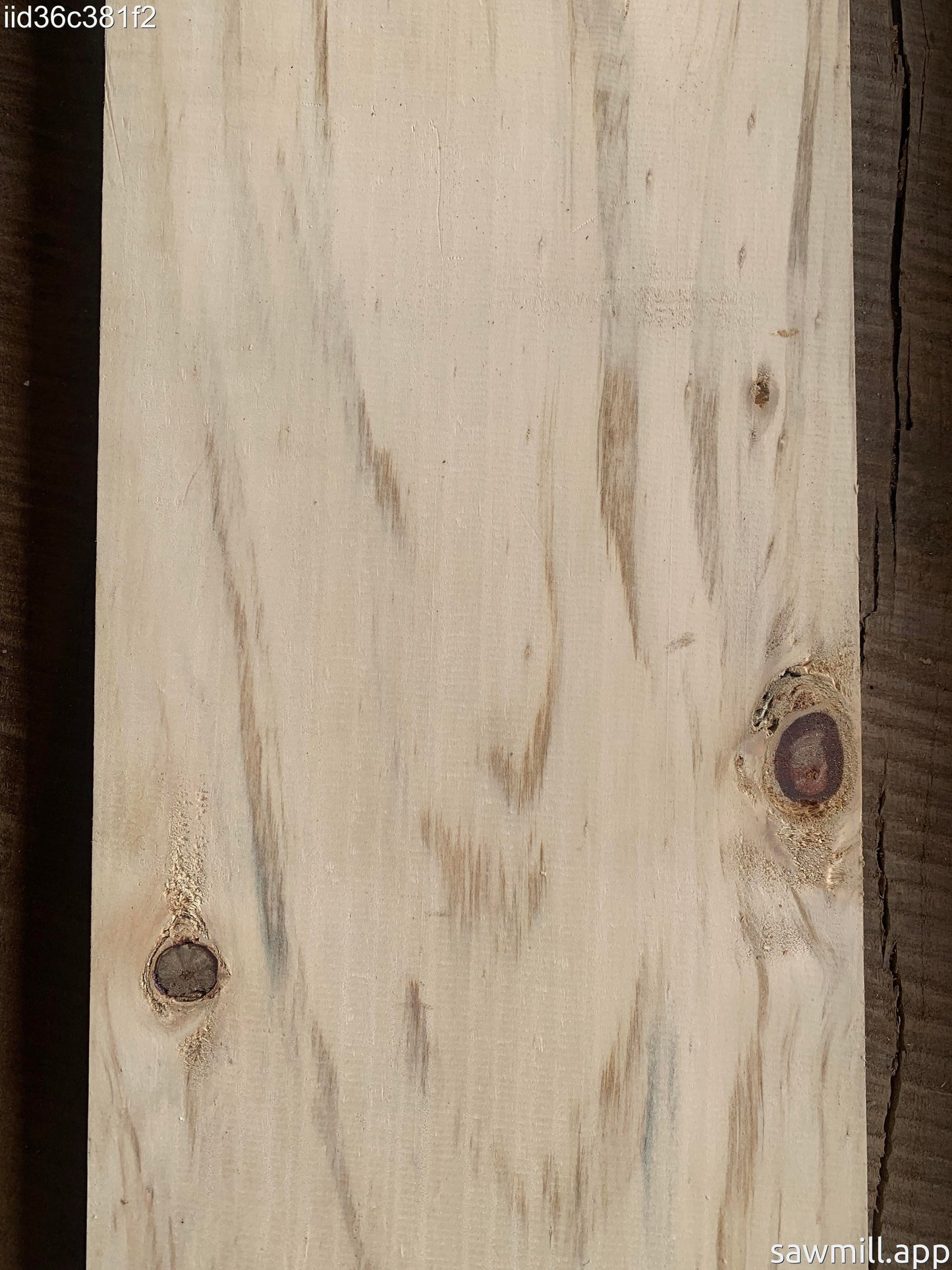 1" x 8" x 97" Norfolk Pine
