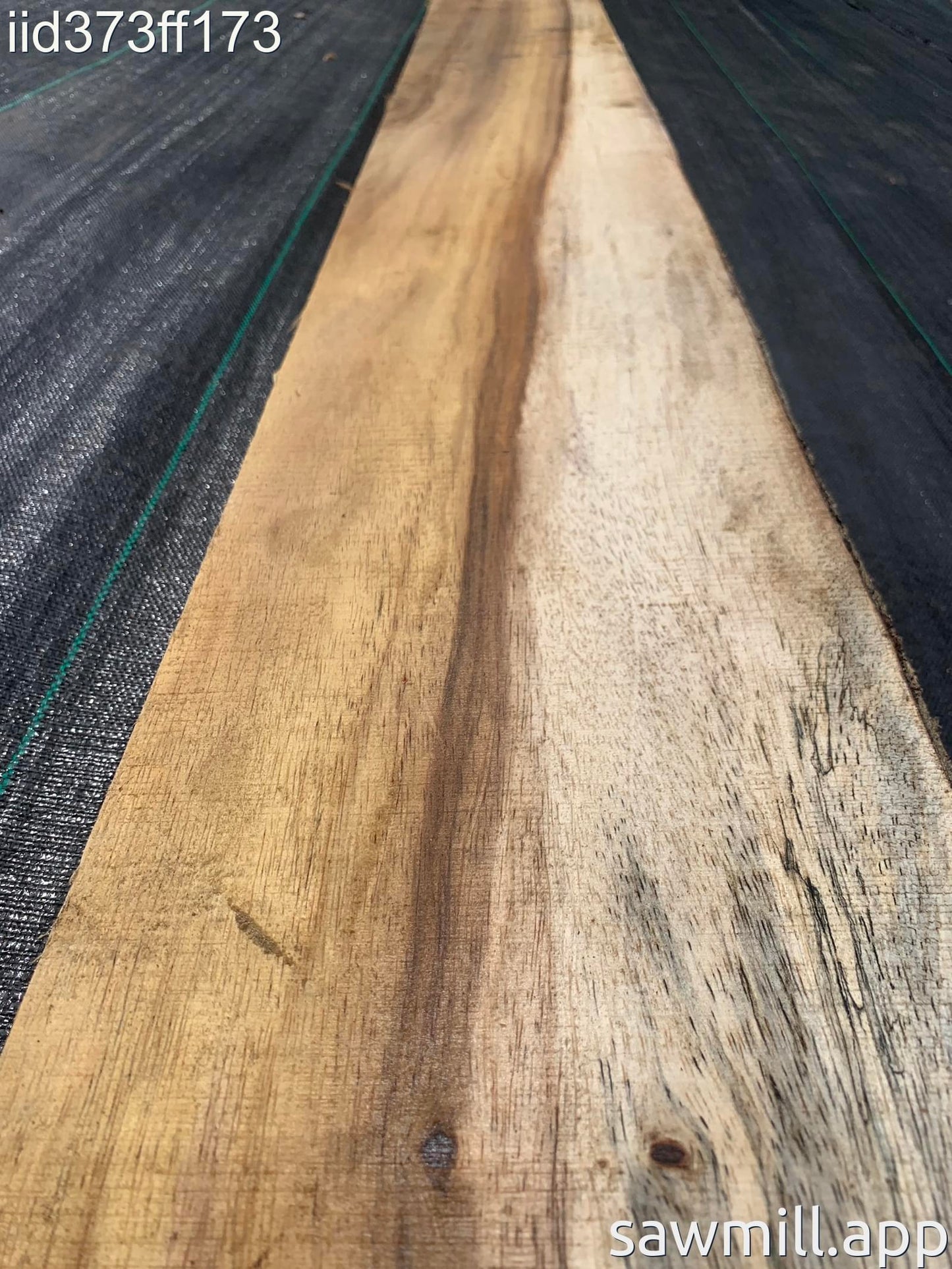 2" x 9" x 143" Chocolate Albizia