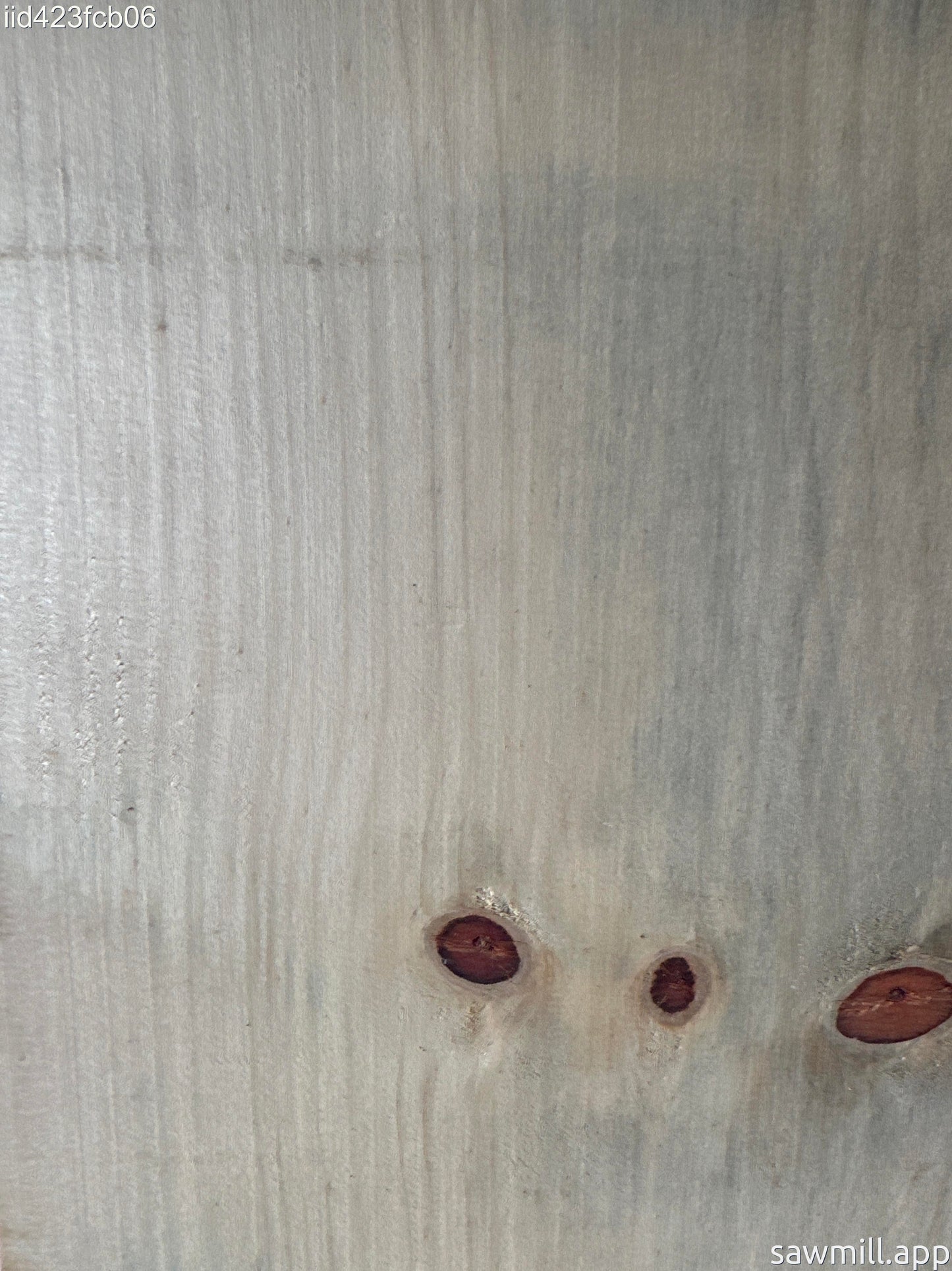 1" x 8" x 48" Norfolk Pine
