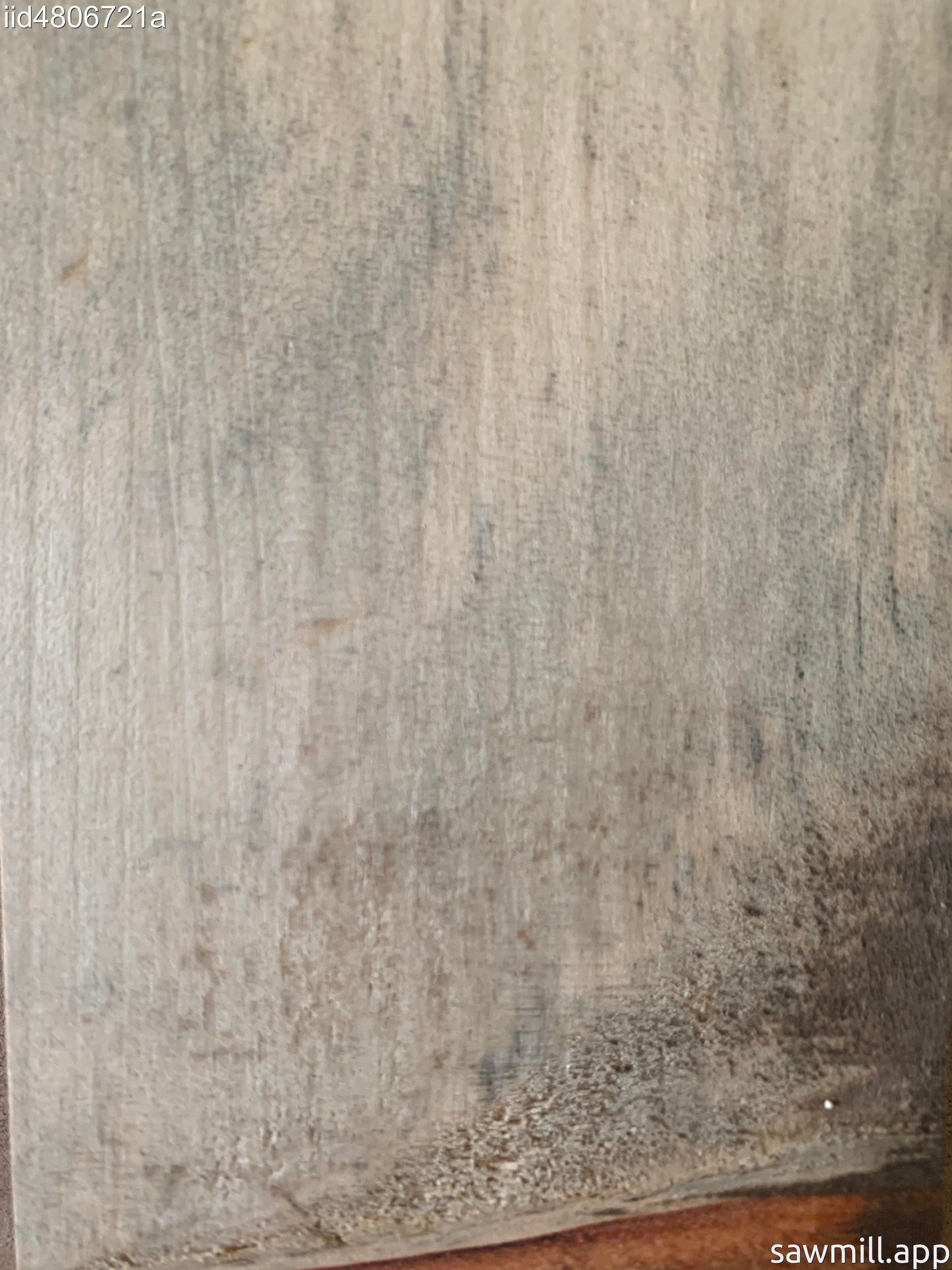 1" x 4" x 48" Norfolk Pine