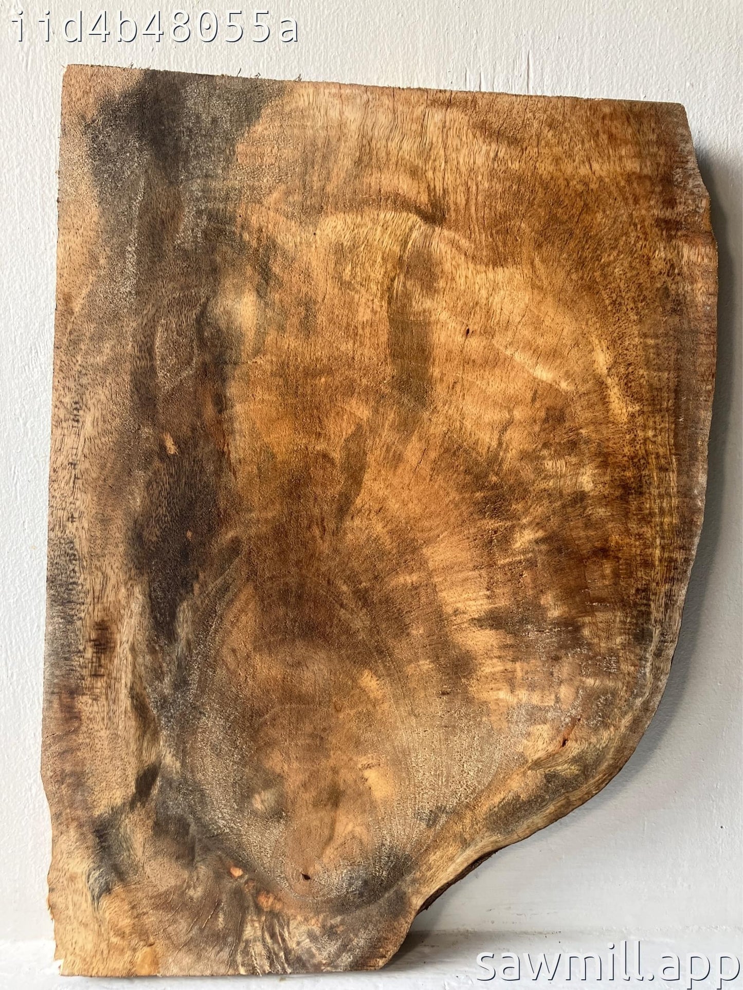 1.5" x 17" x 22" Mango