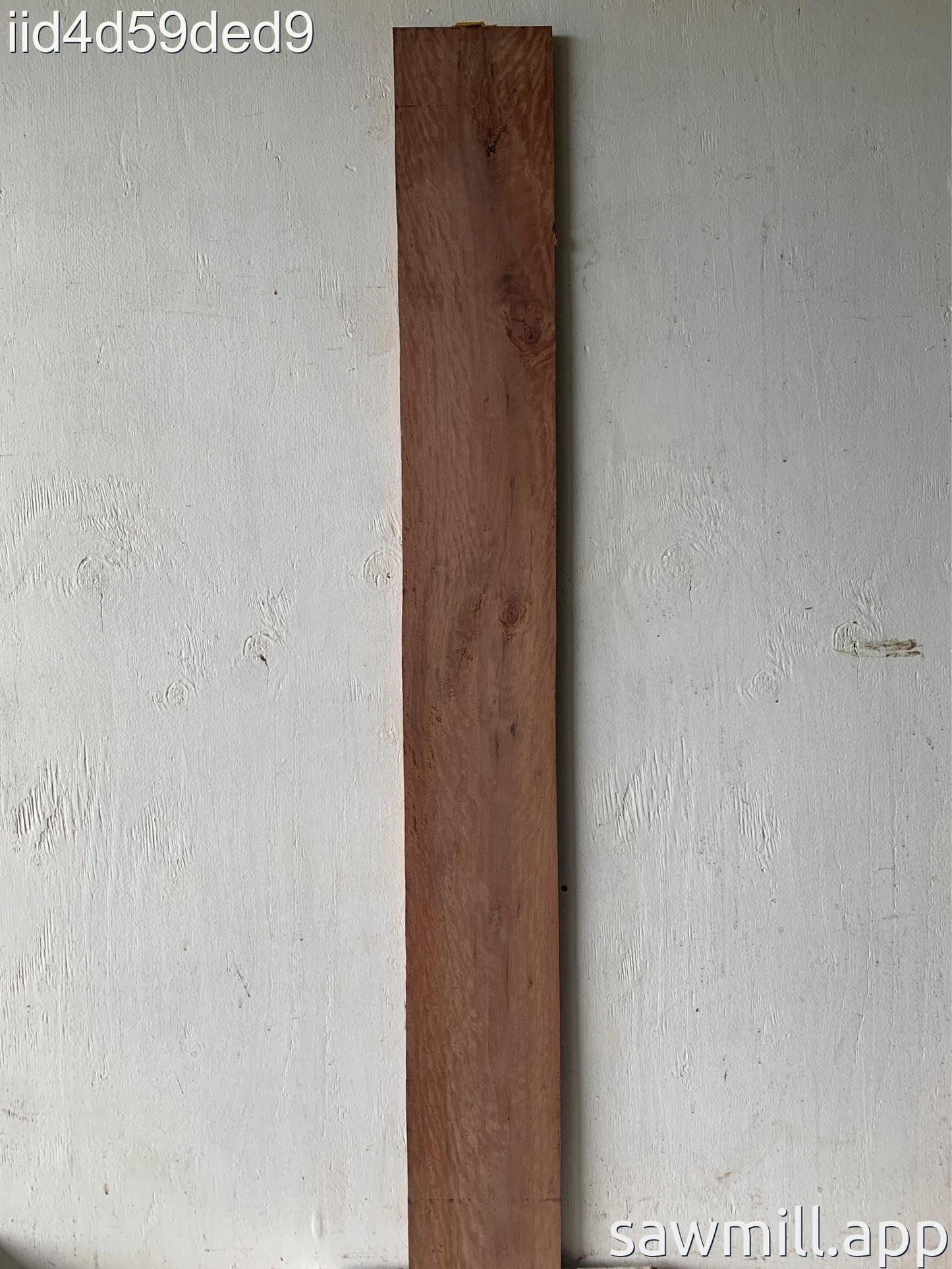 0.75" x 6" x 53" Ironbark Eucalyptus